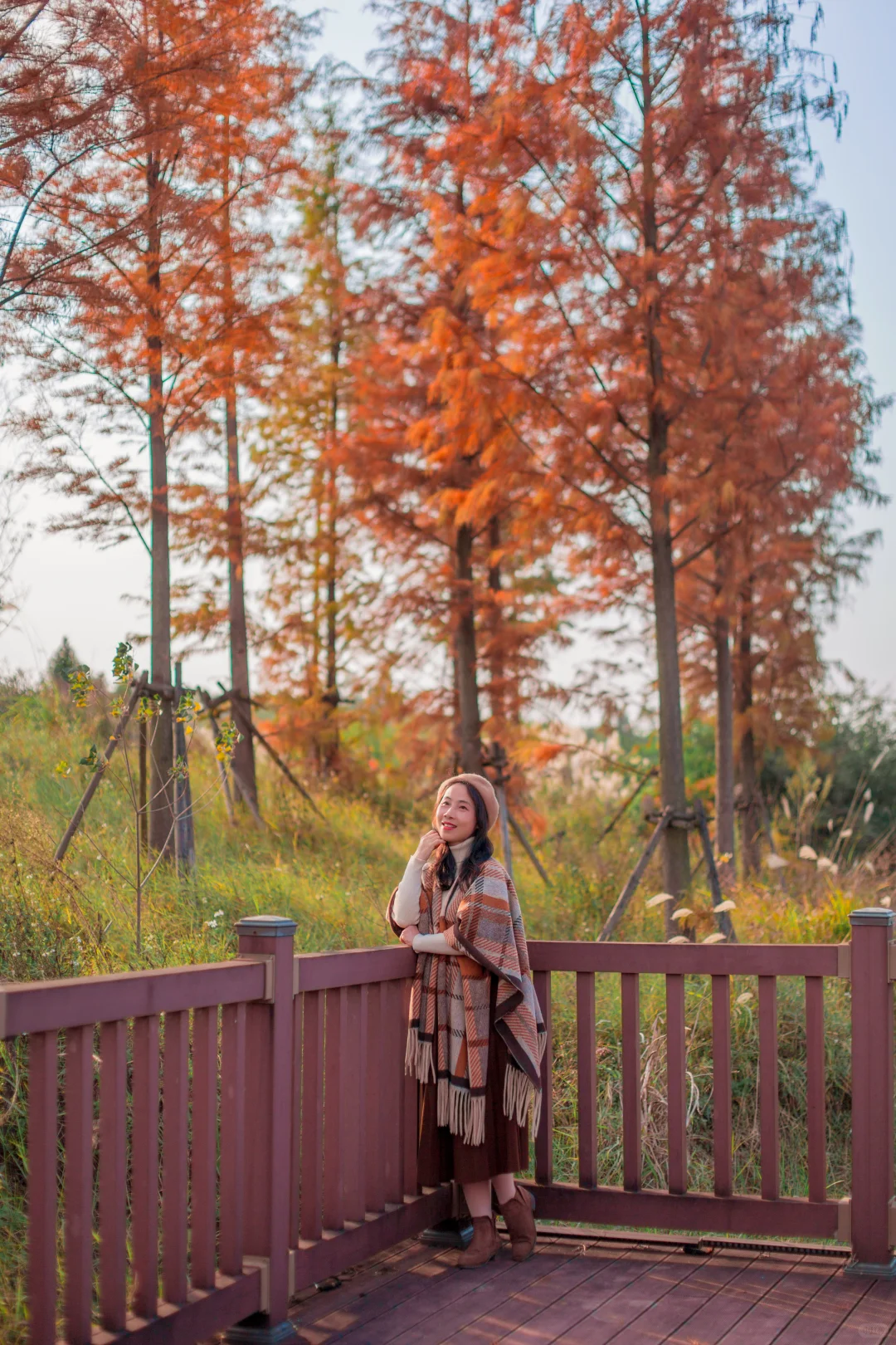 爆款机位被我“包场”了｜柳州水杉秘境