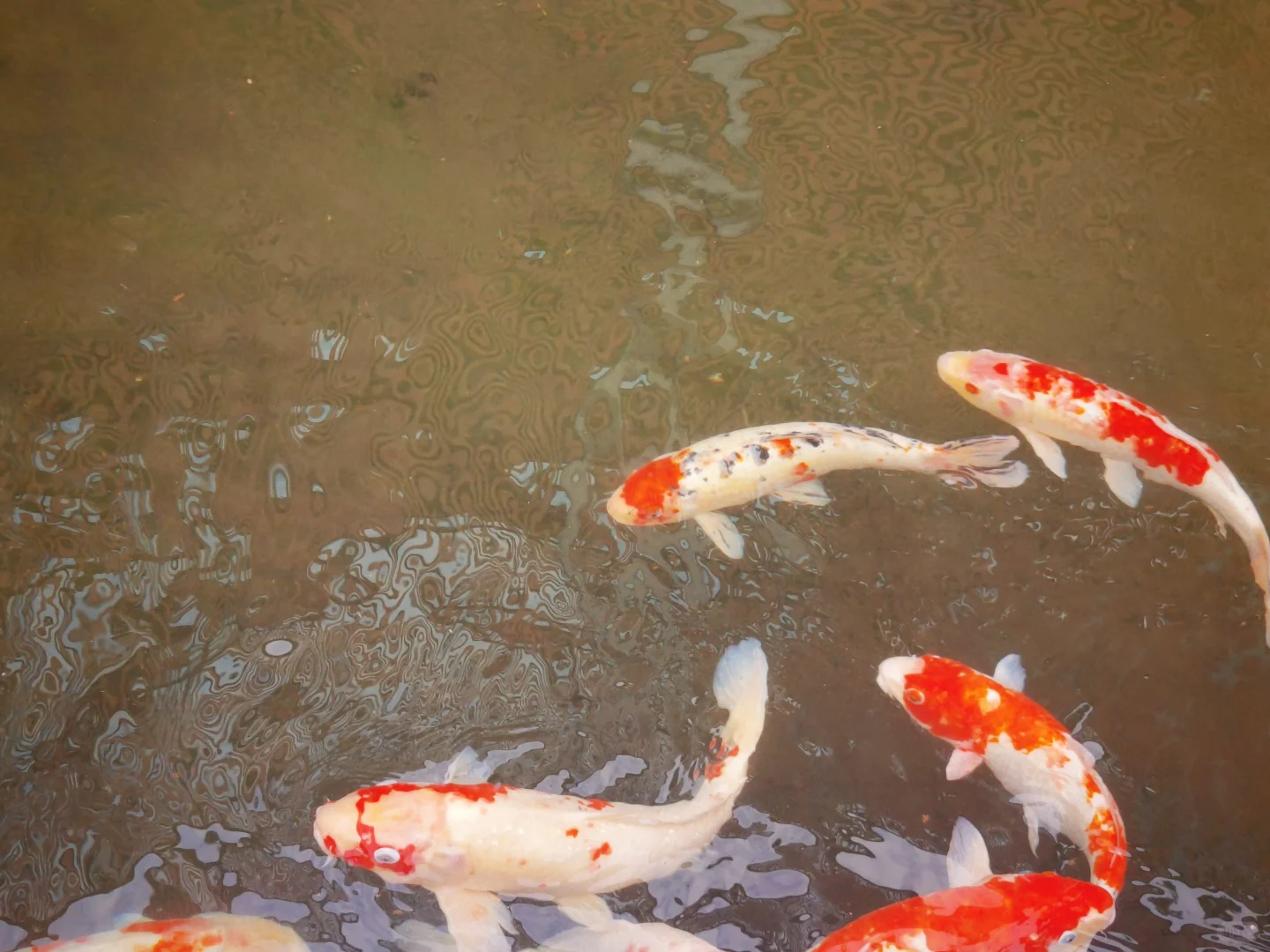 柳州，我相信你还会来的