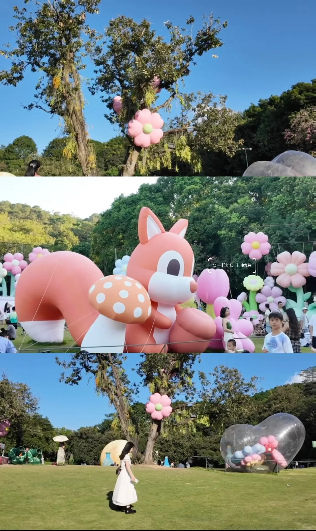 广西南宁｜三天两夜旅行攻略🌳