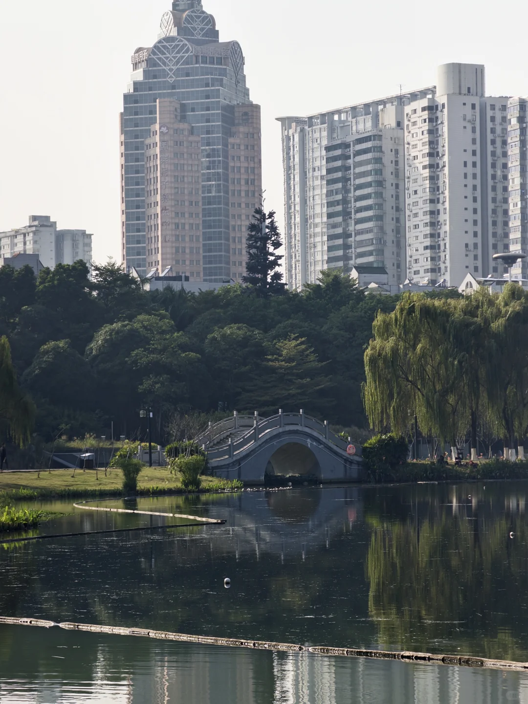 不会还有人没去过南宁这个公园吧…