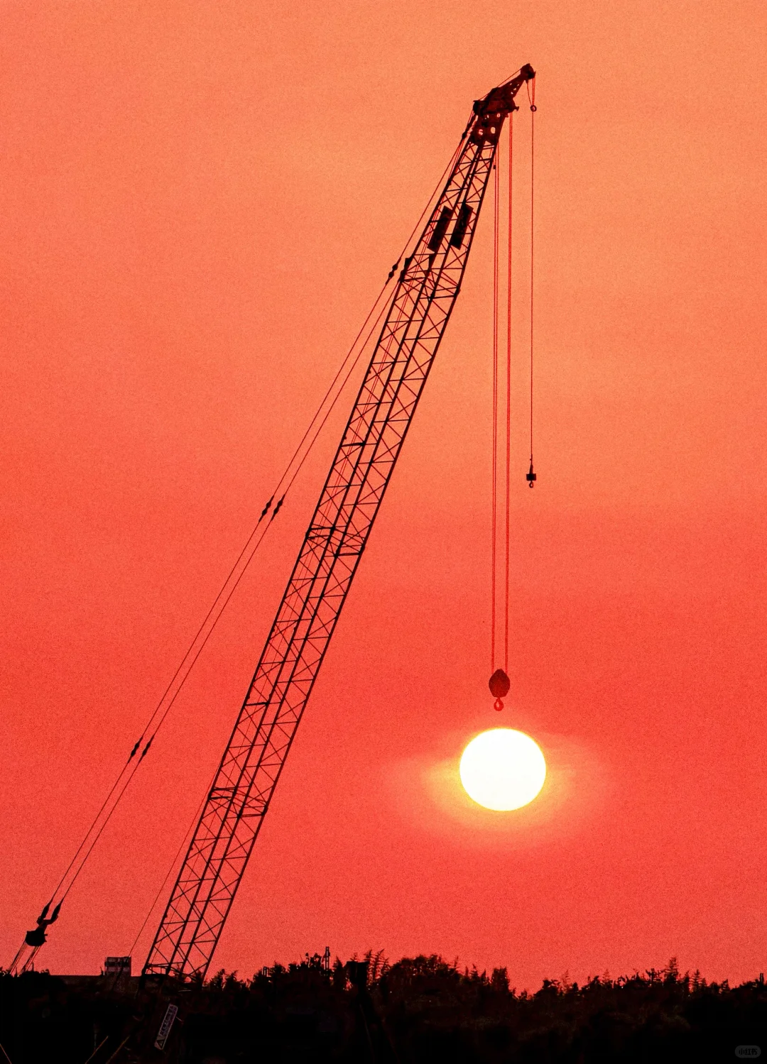 大猫镜头下的𝟐𝟎𝟐𝟓—人文纪实篇