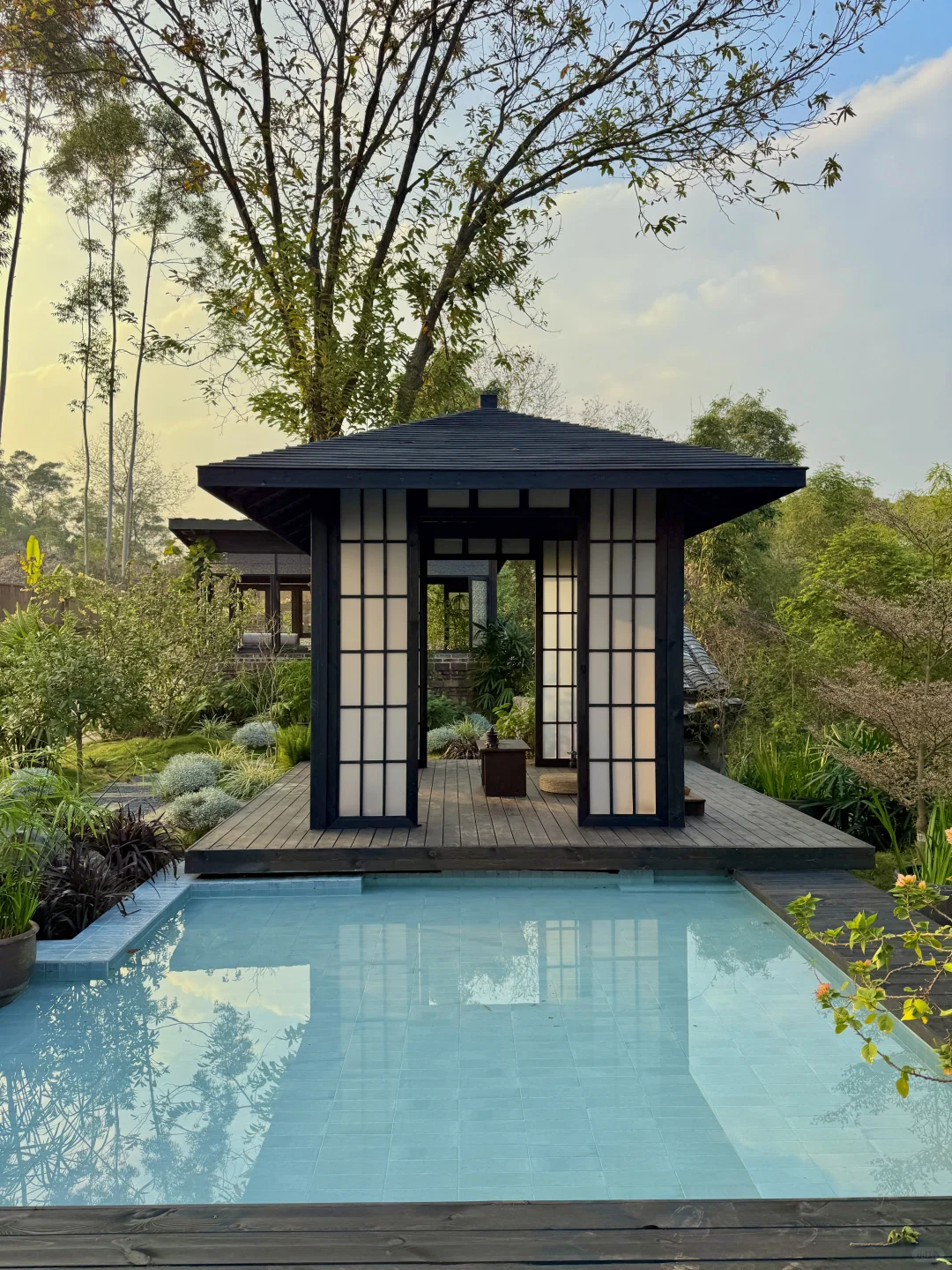 柳州新的！南法庄园🕊️有种不像国内的美