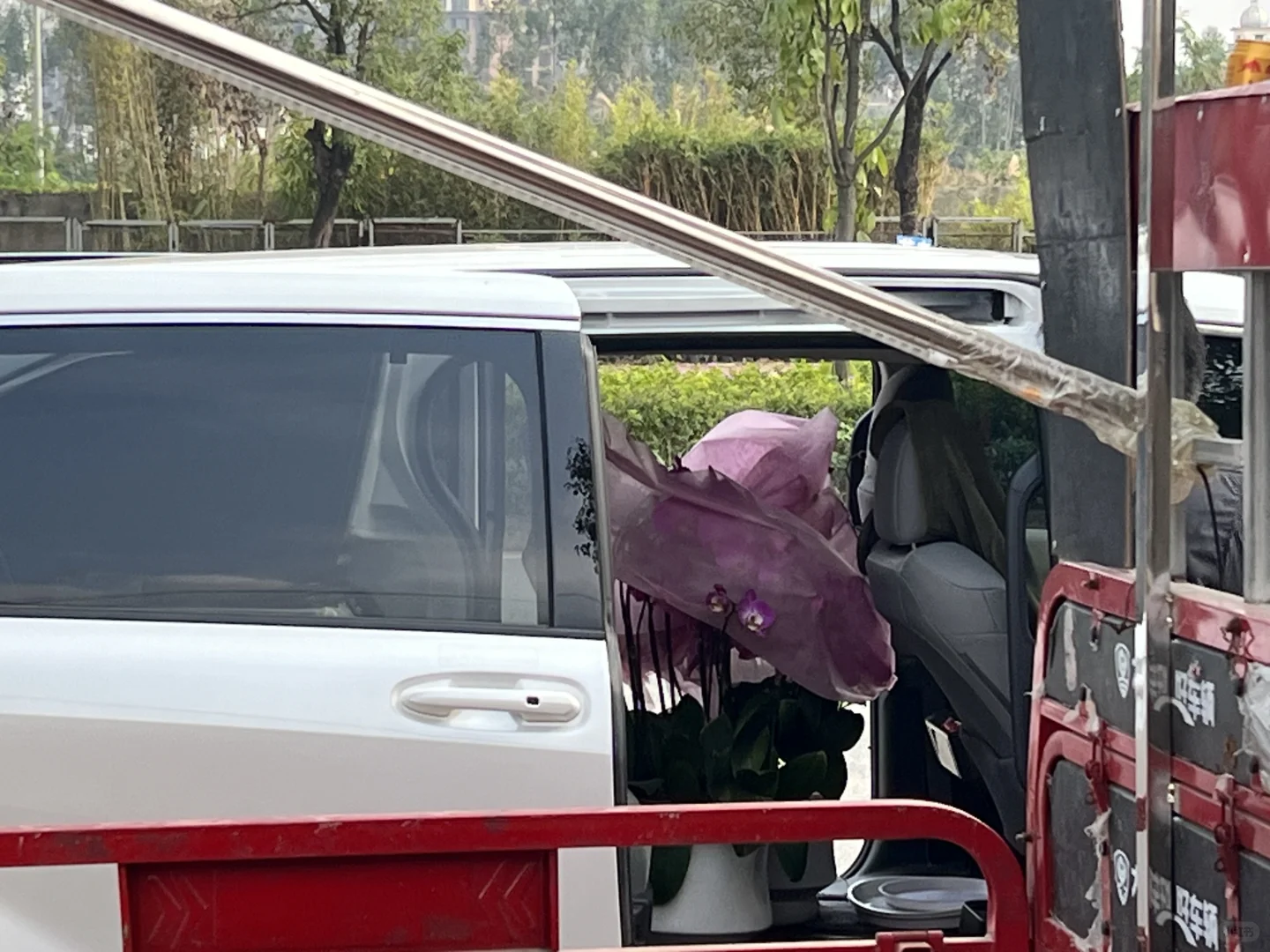 南宁蝴蝶兰、整车走