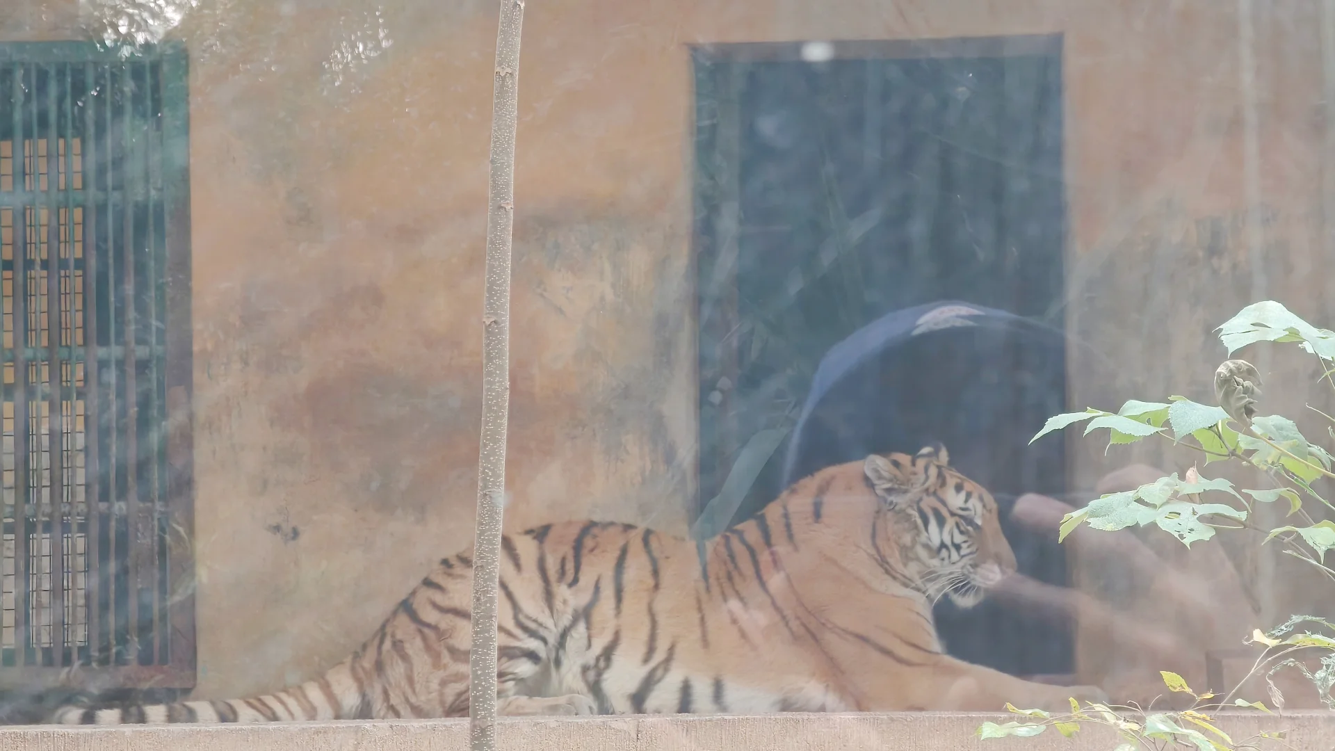 柳州，我相信你还会来的