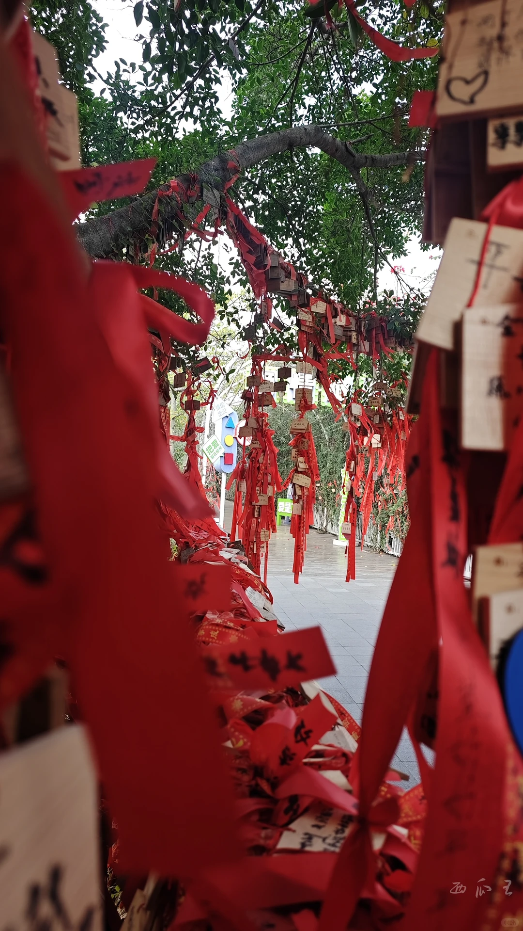 柳州两天一夜纯吃攻略