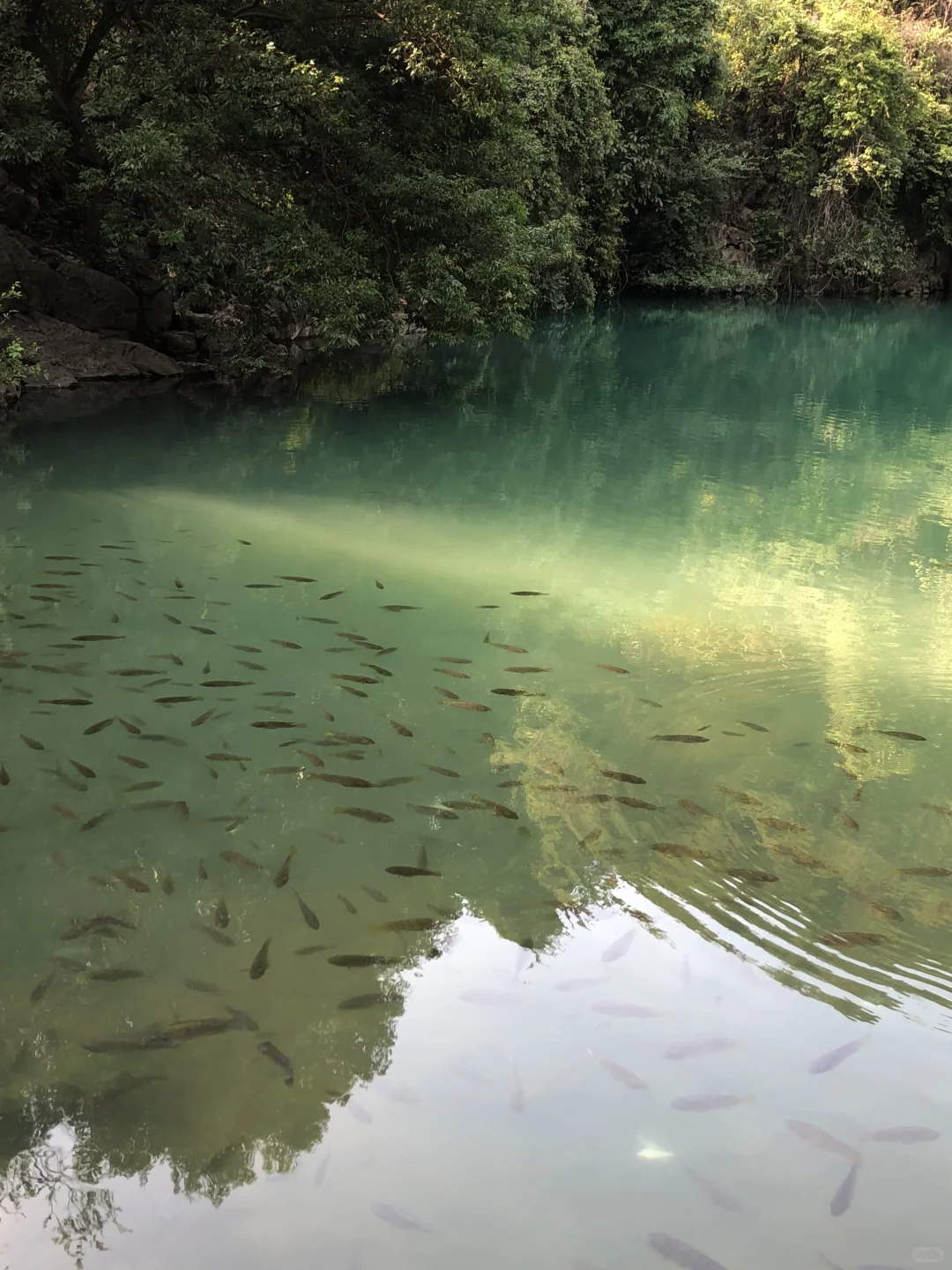 柳州｜龙潭你又美了