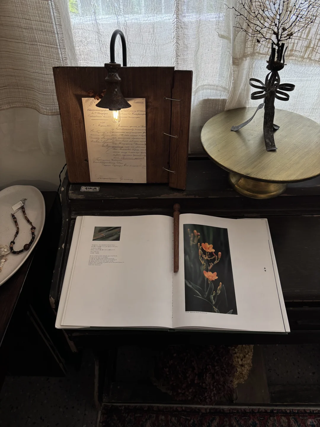 迄今为止，南宁最舒服的一条citywalk路线。。。