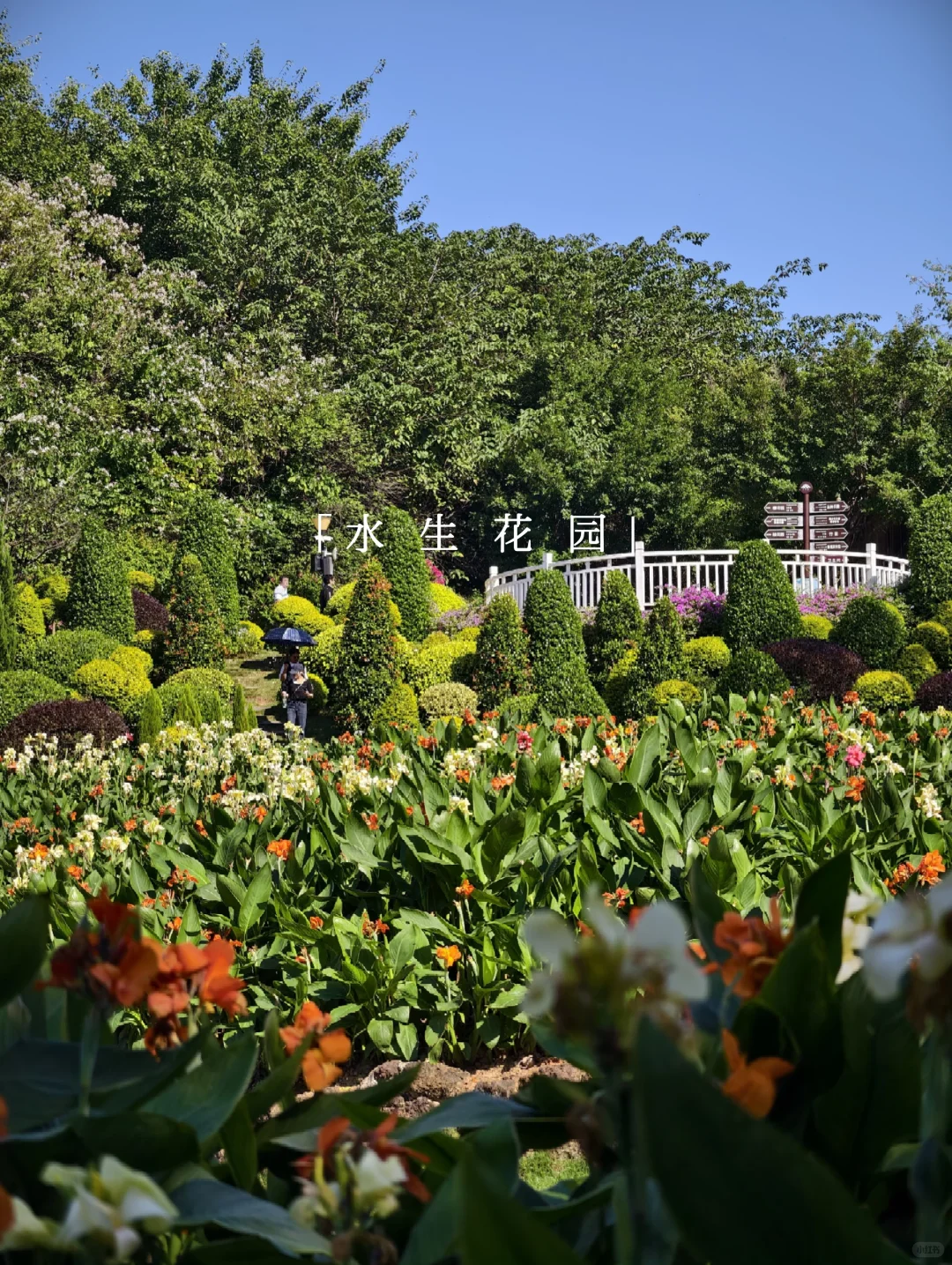 青秀山 | 南宁旅游第一站，详细游玩攻略