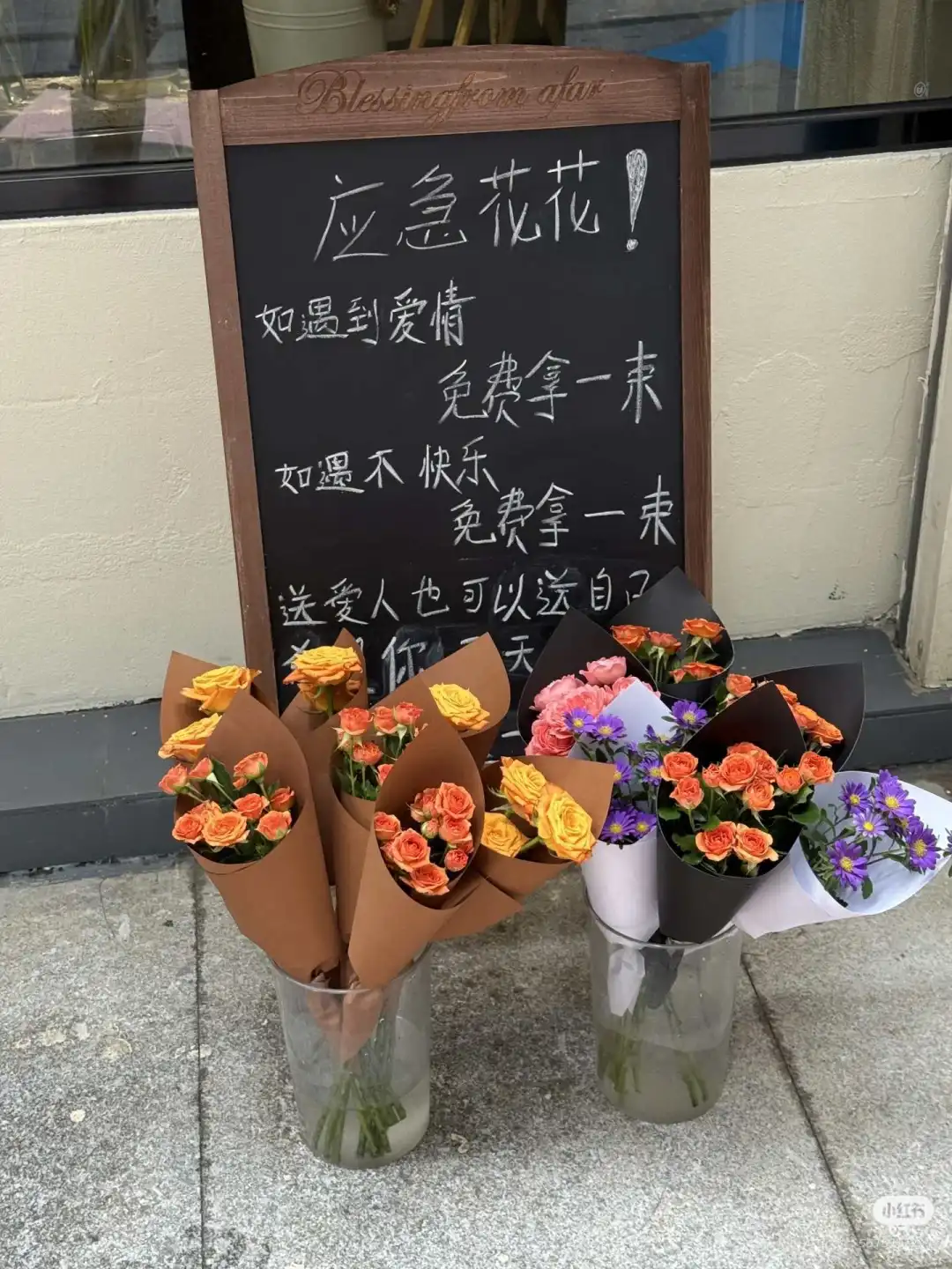 南宁花店转让！适合想要创业的宝可私～