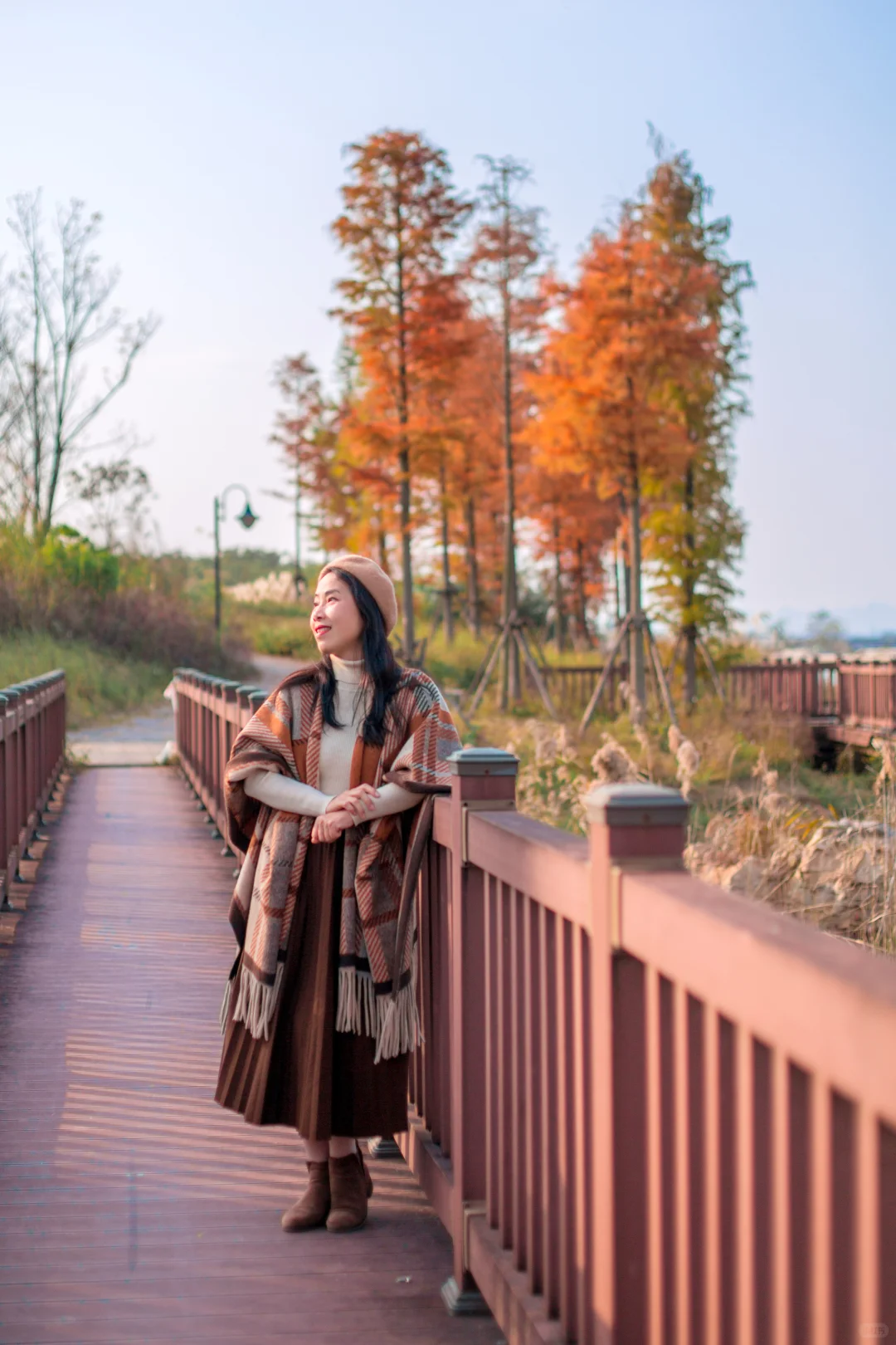 爆款机位被我“包场”了｜柳州水杉秘境