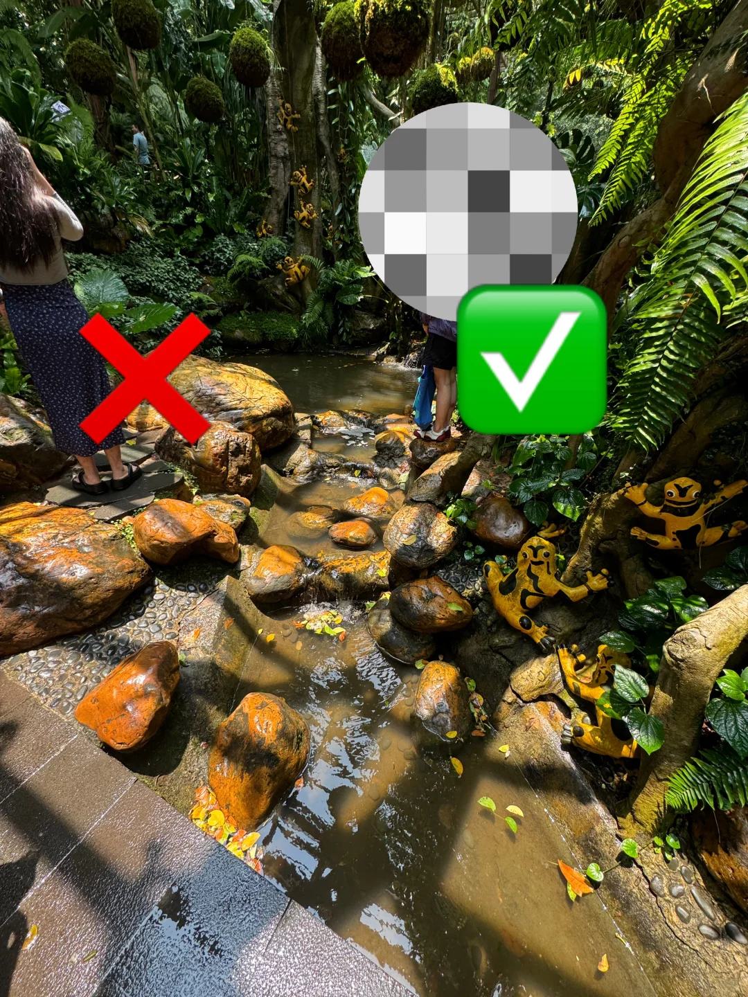 南宁｜青秀山最佳打卡机位不排队攻略