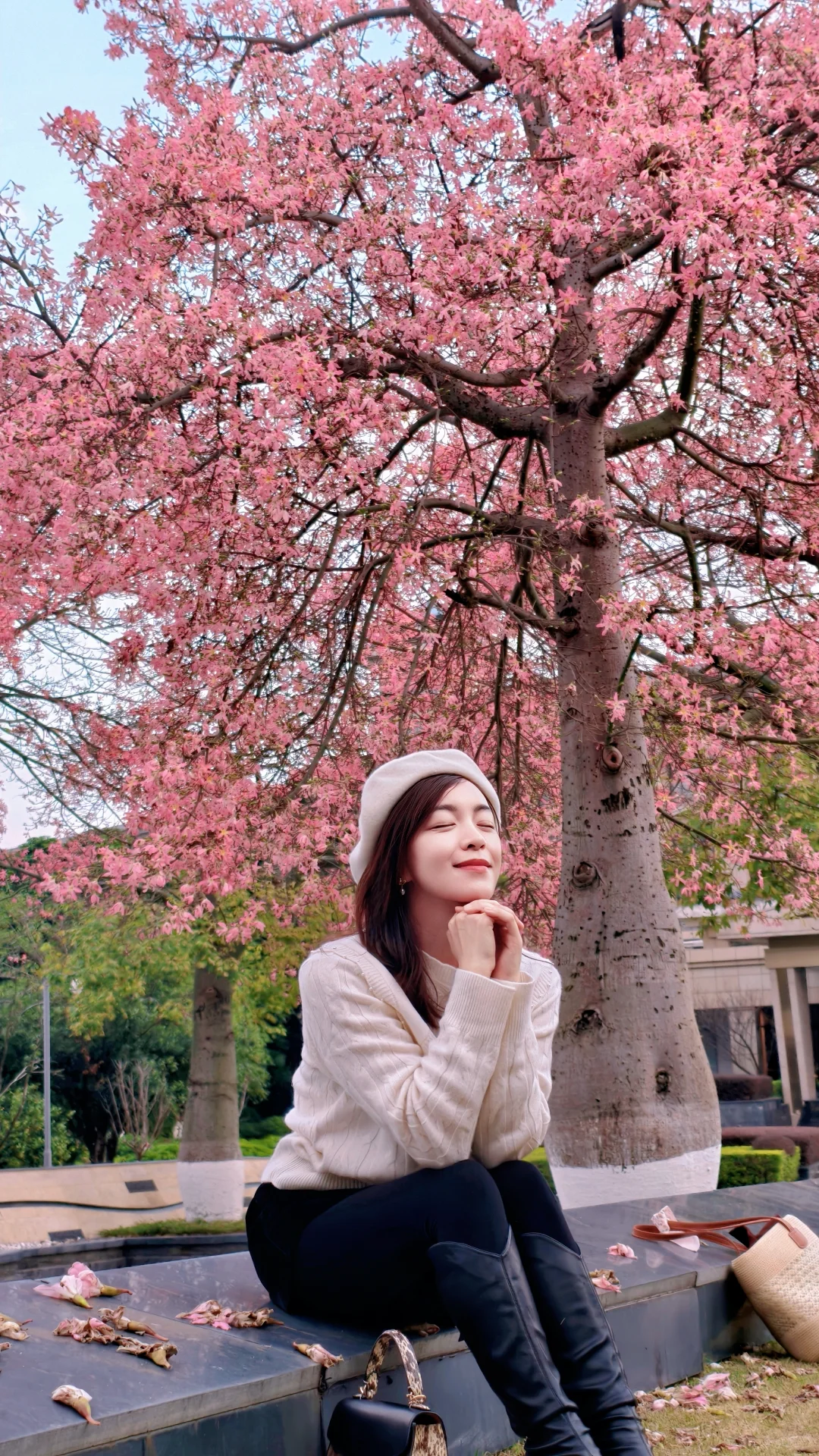 柳州的十二月是粉色的