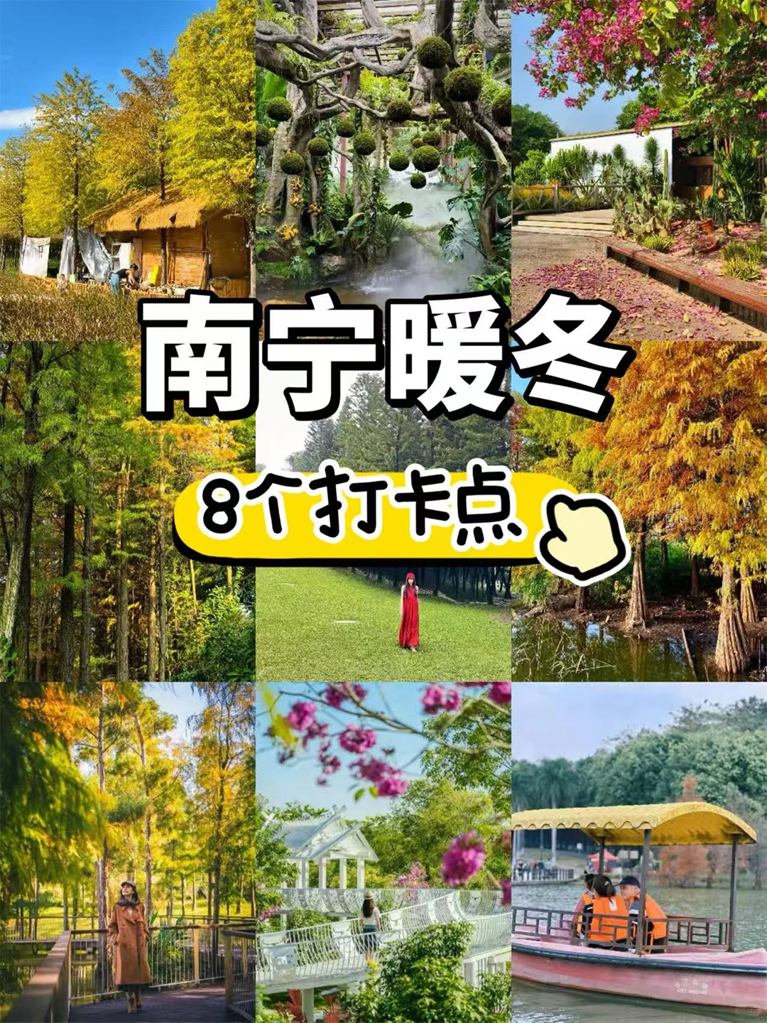 南国冬日不猫冬！打卡南宁8个神仙地～