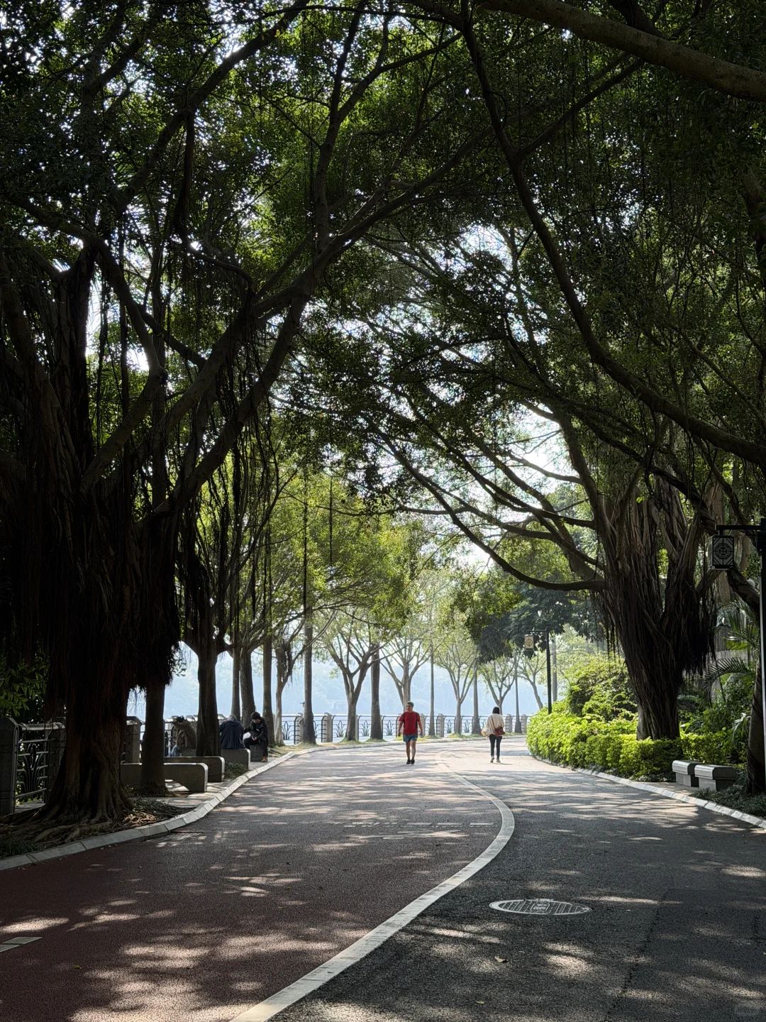 不会还有人没去过南宁这个公园吧…