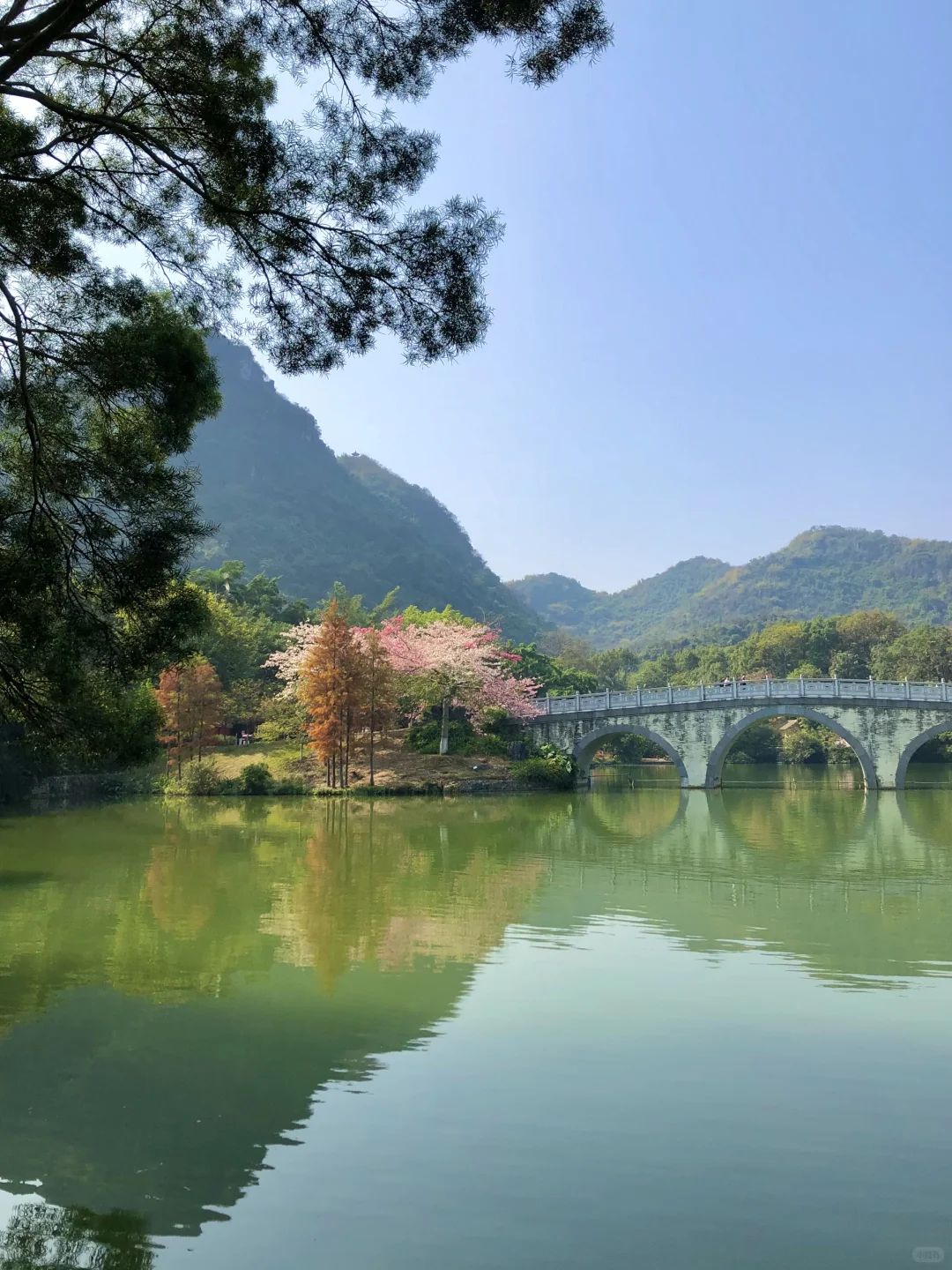 柳州｜龙潭你又美了