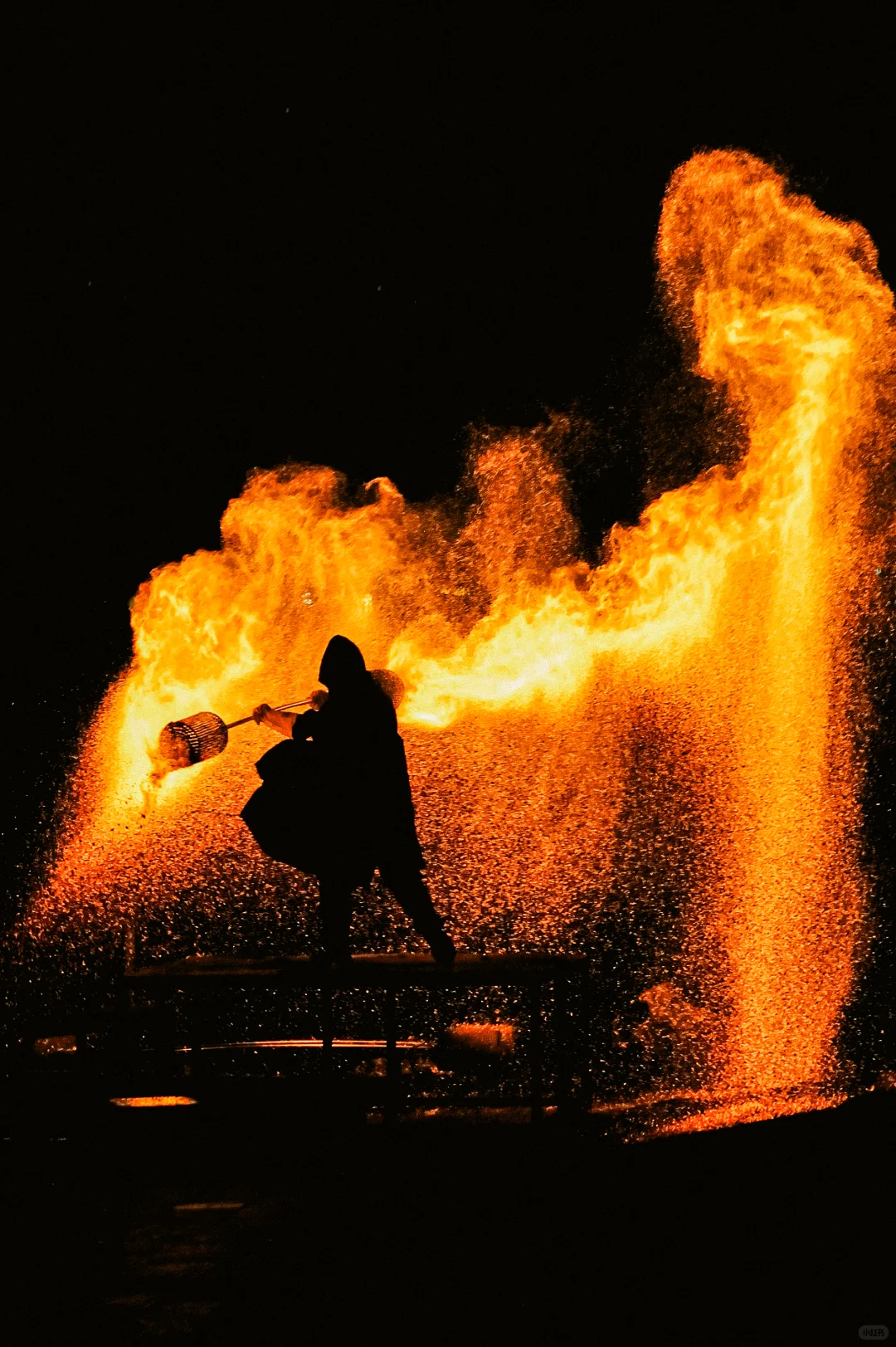 大猫镜头下的𝟐𝟎𝟐𝟓—人文纪实篇