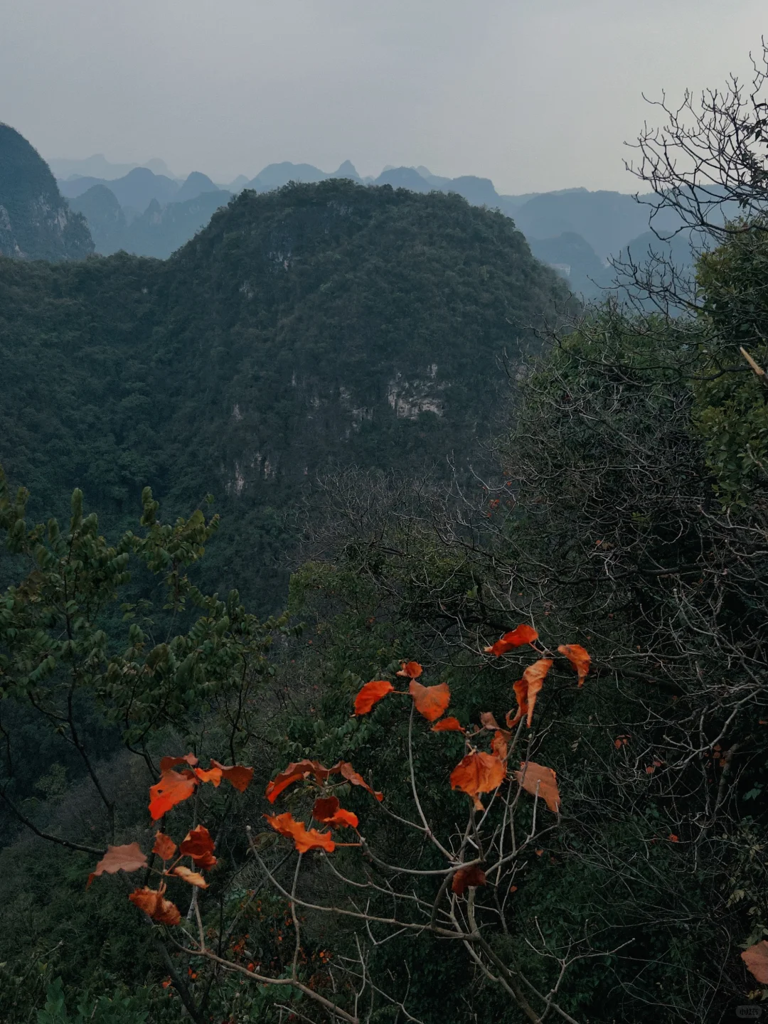 柳州，除了螺蛳粉还有…