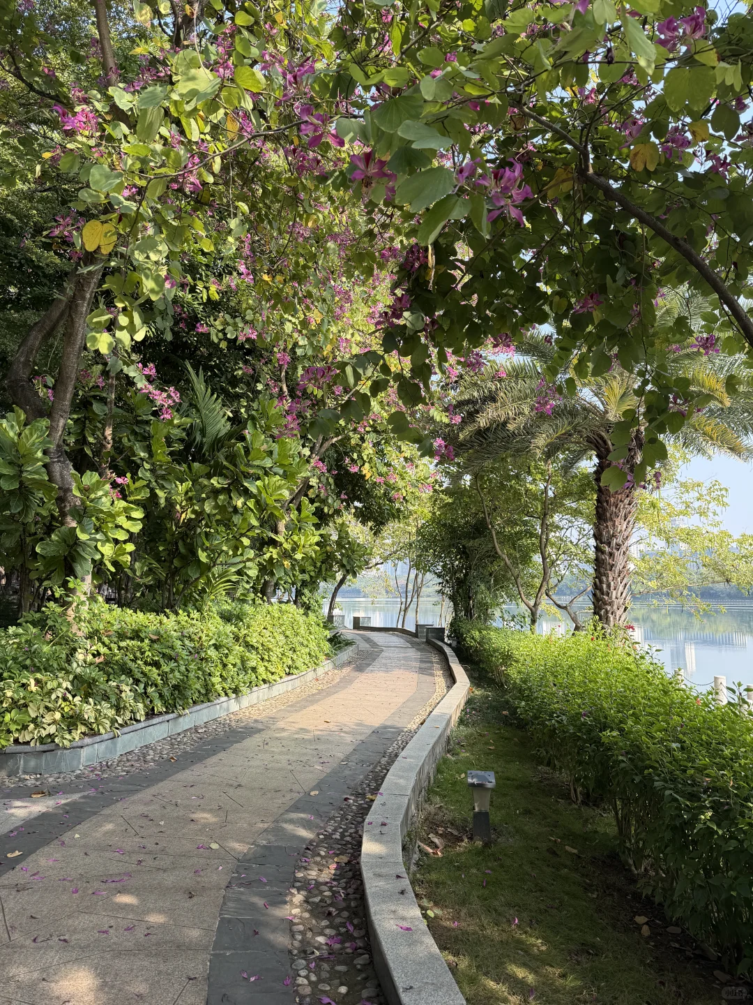 不会还有人没去过南宁这个公园吧…