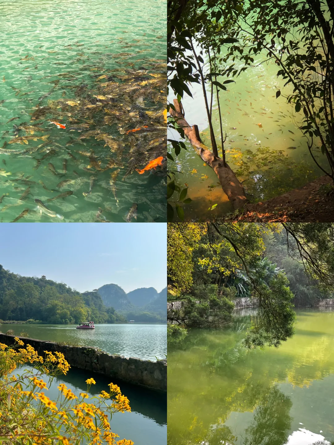 柳州｜龙潭你又美了