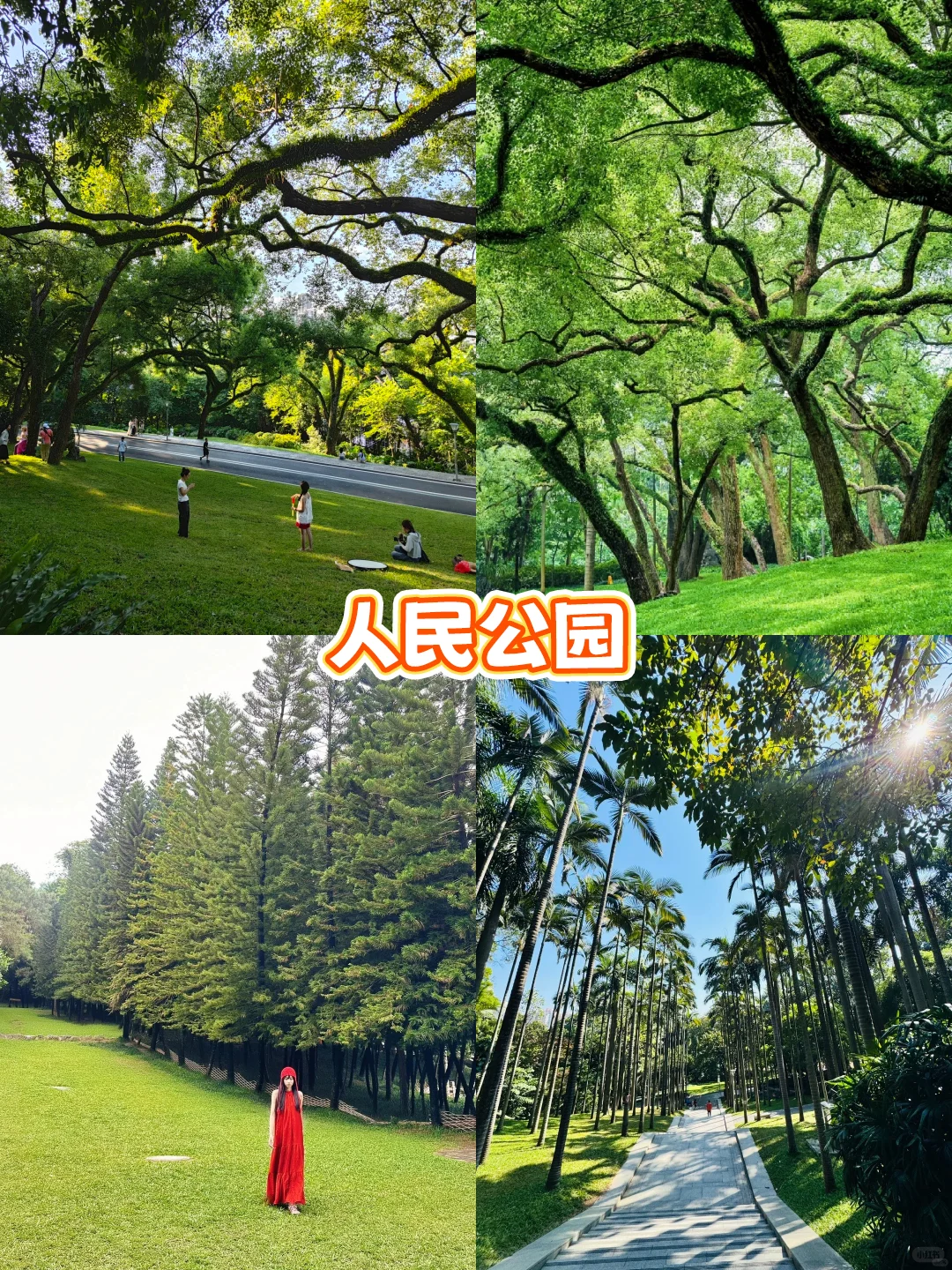 南国冬日不猫冬！打卡南宁8个神仙地～