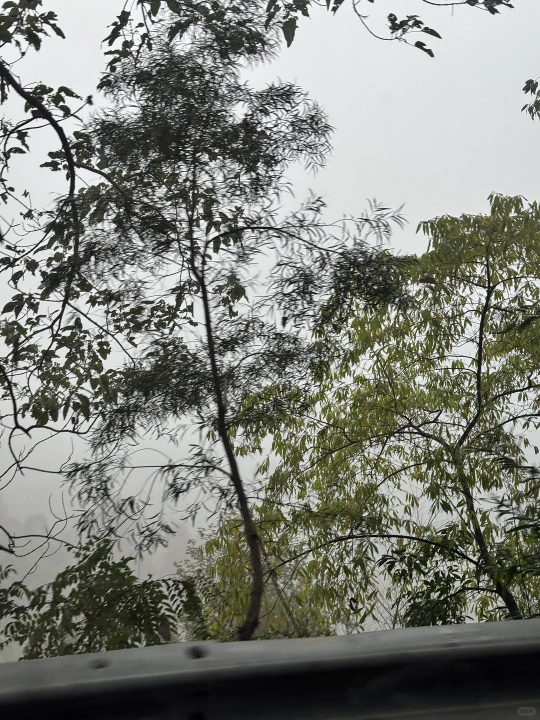 是不是都刷到柳州的这个庄园了 替你们来了