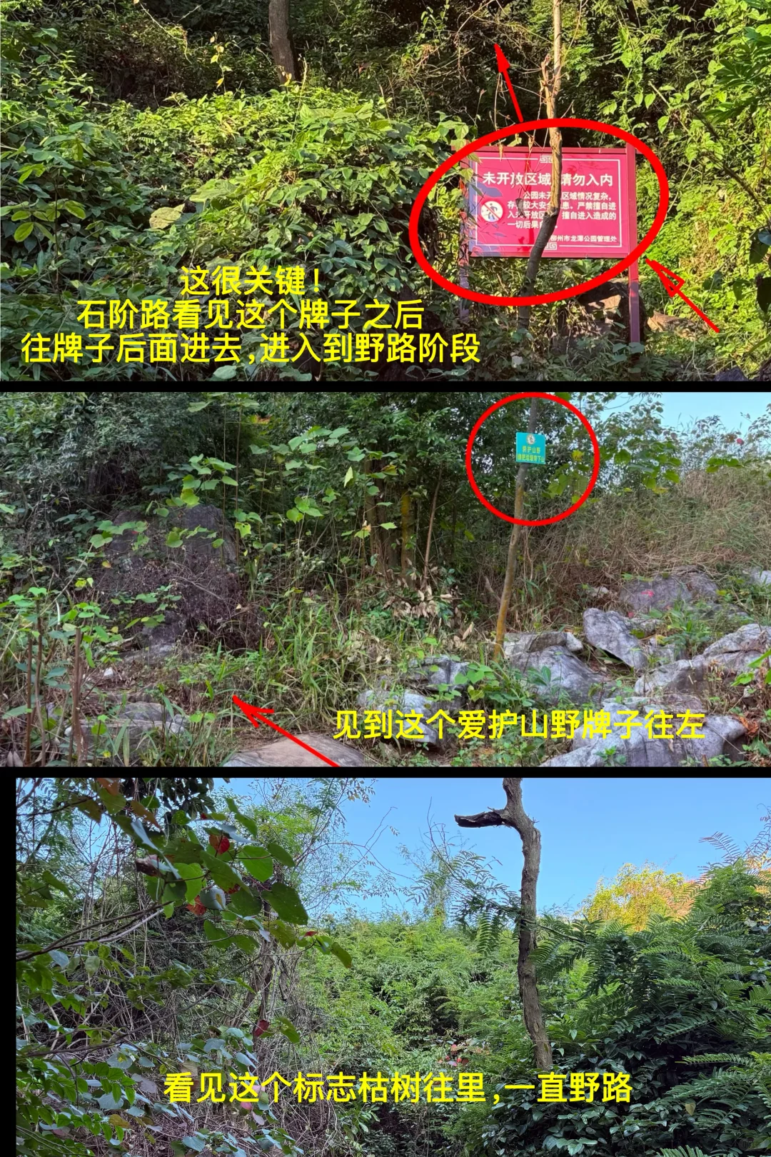 柳州市区爬山看日出就来这