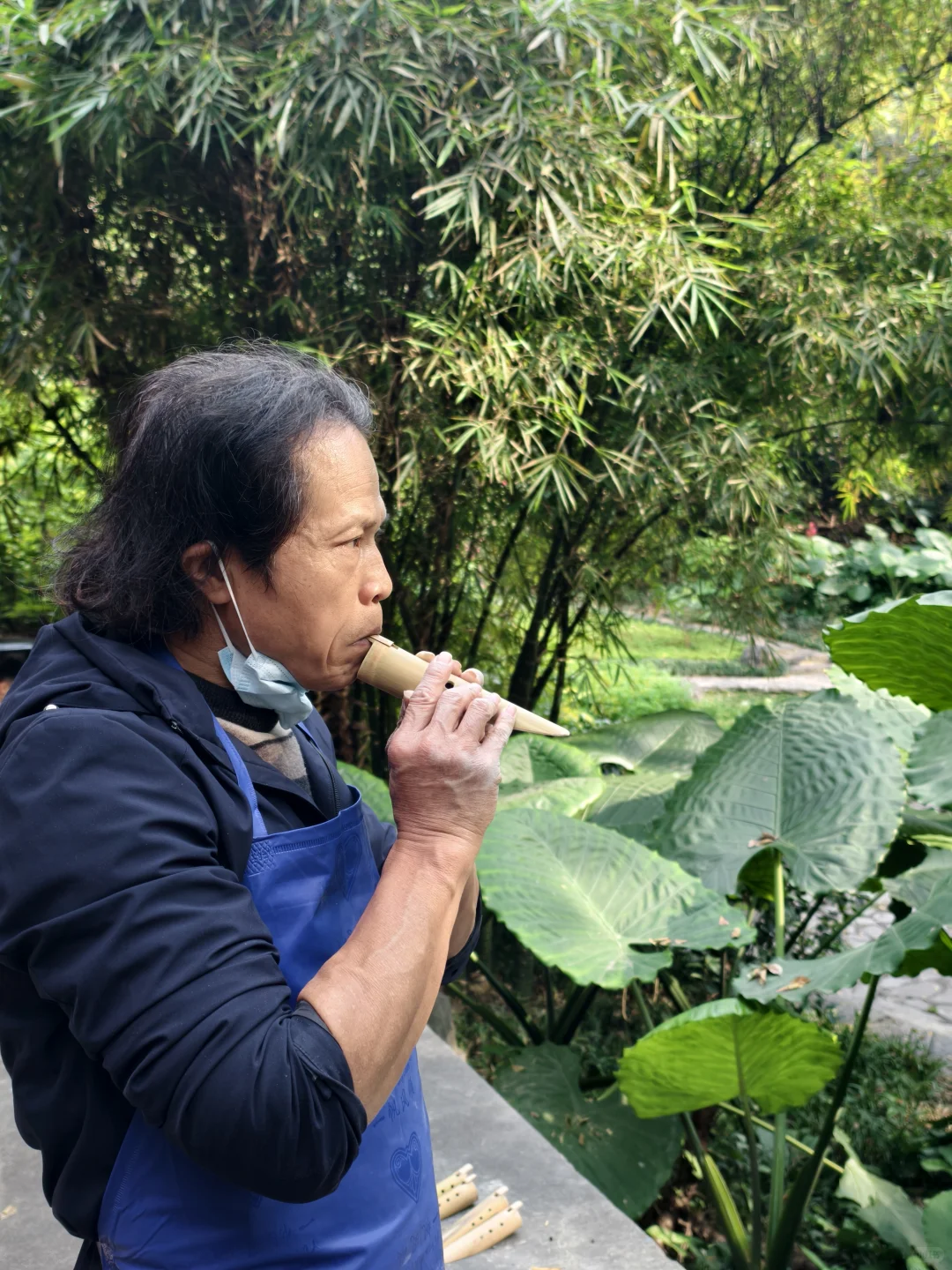 柳州游记，随心随性