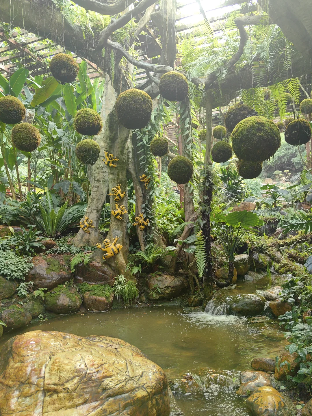 2025寒假之南宁篇