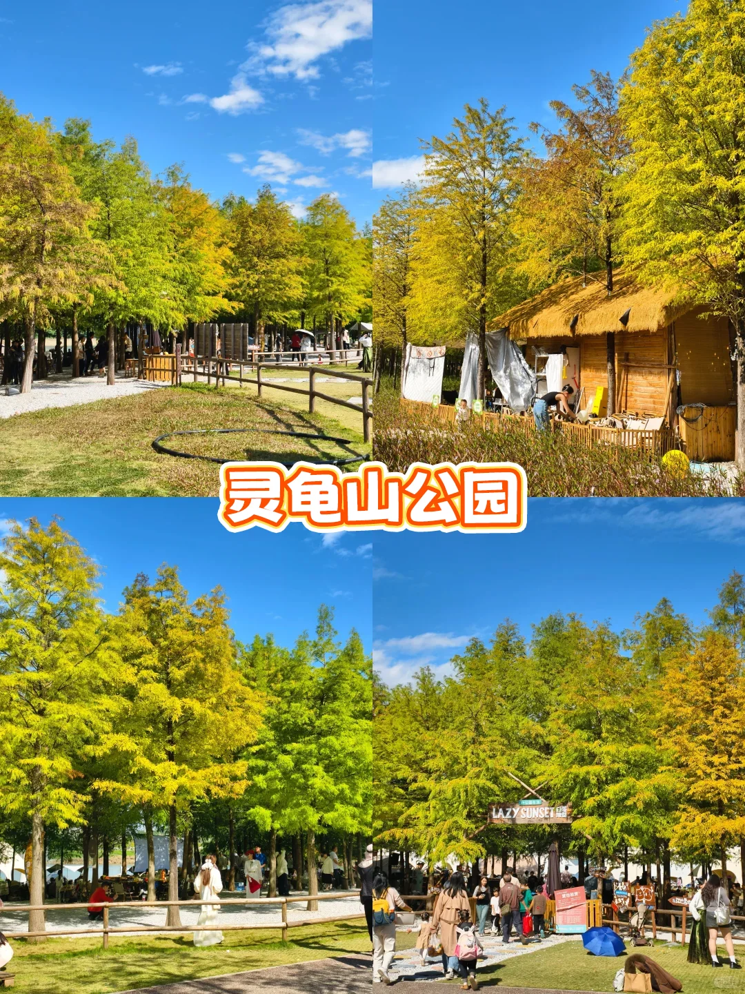 南国冬日不猫冬！打卡南宁8个神仙地～