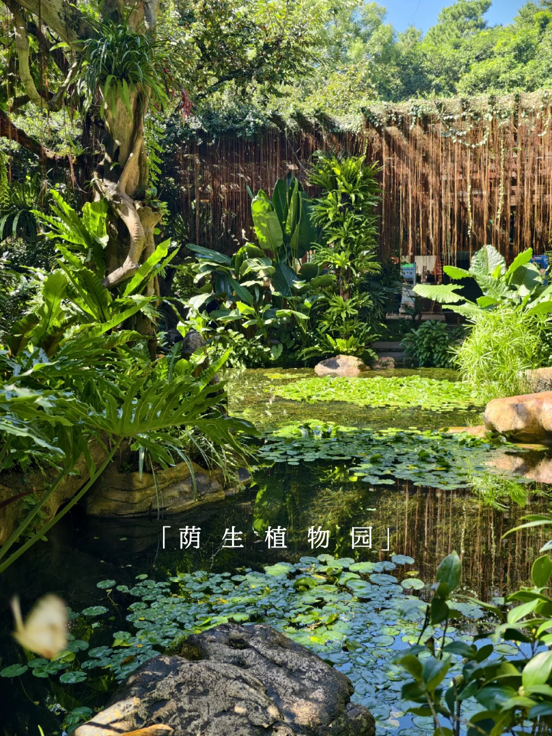 青秀山 | 南宁旅游第一站，详细游玩攻略