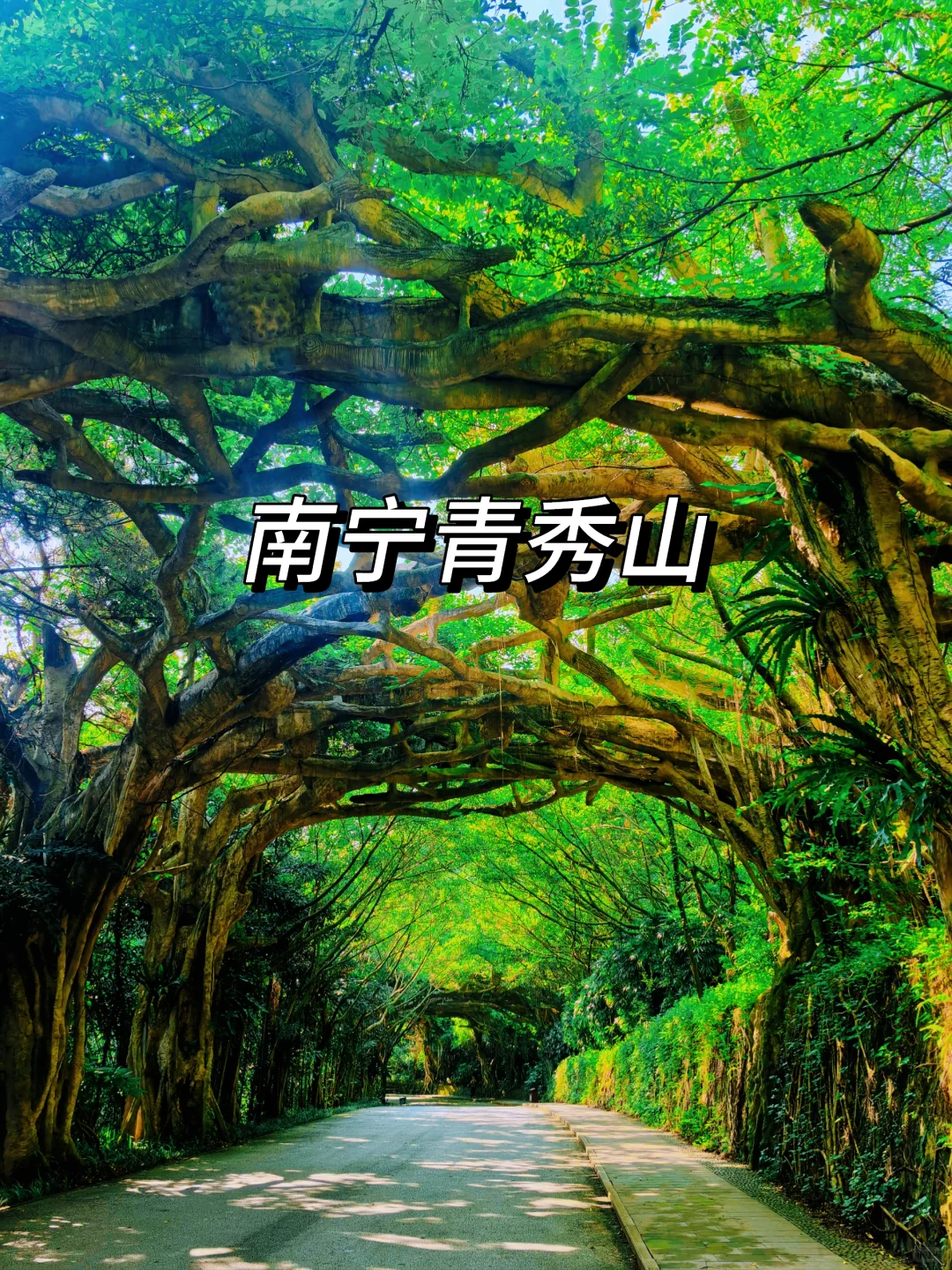 畅玩崇左百色南宁🌈五天四晚的攻略请收下