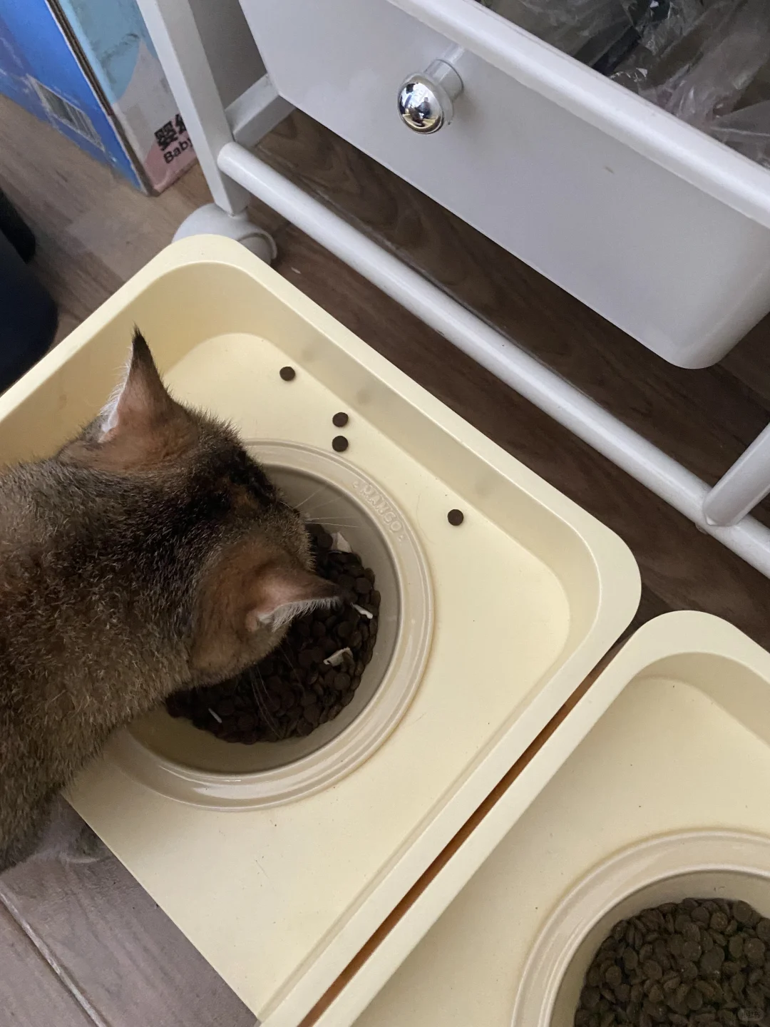 在柳州，不会还有人不知道这家公司吧