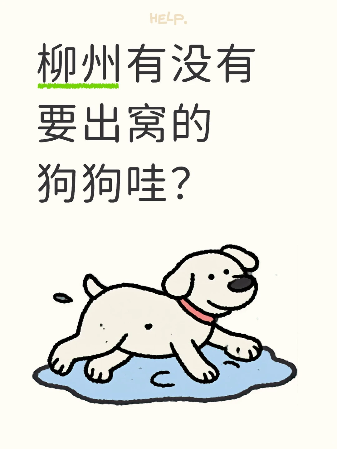 柳州有没有要出窝的狗狗哇？