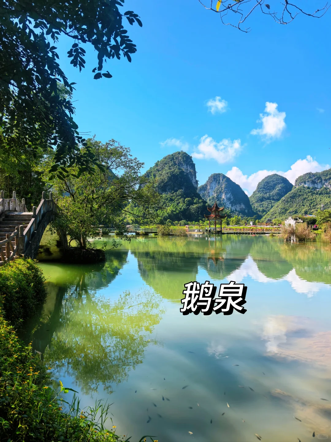 畅玩崇左百色南宁🌈五天四晚的攻略请收下