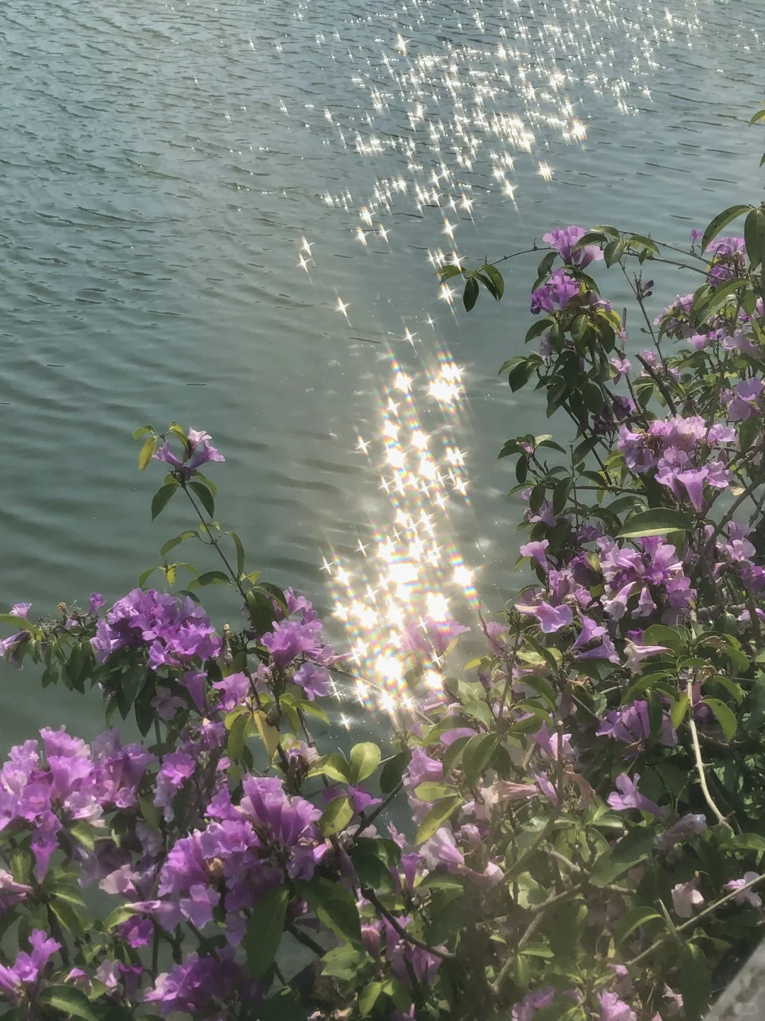 柳州｜龙潭你又美了