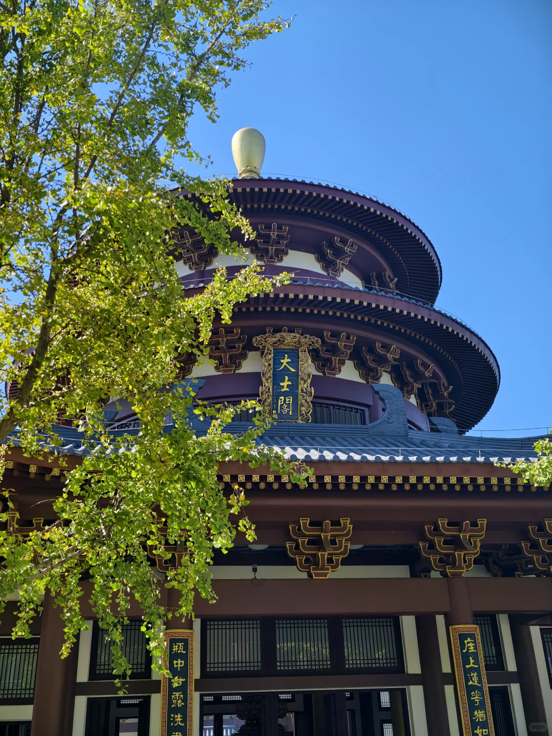 青秀山 | 南宁旅游第一站，详细游玩攻略