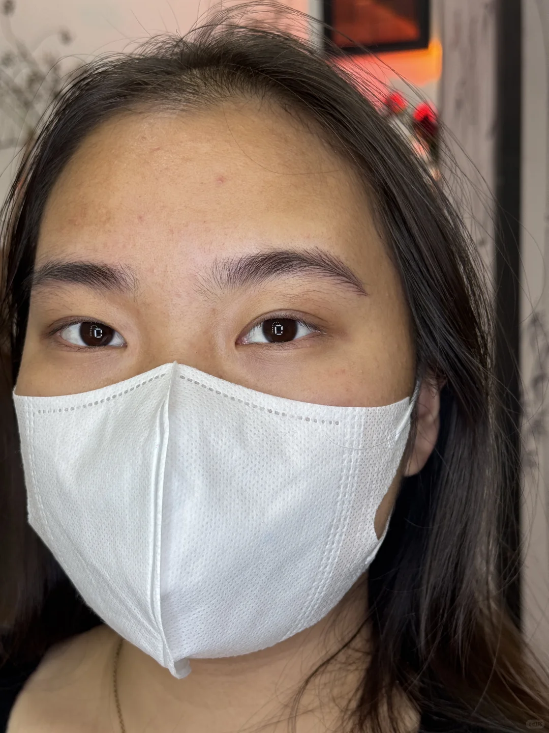 柳州融水野生眉 | 原相机实况图