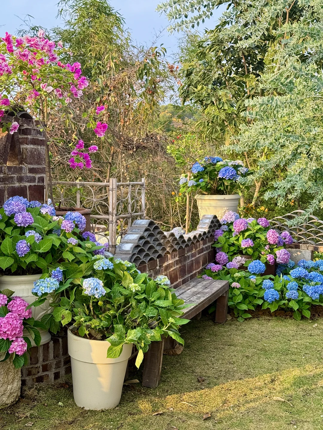 柳州新的！南法庄园🕊️有种不像国内的美