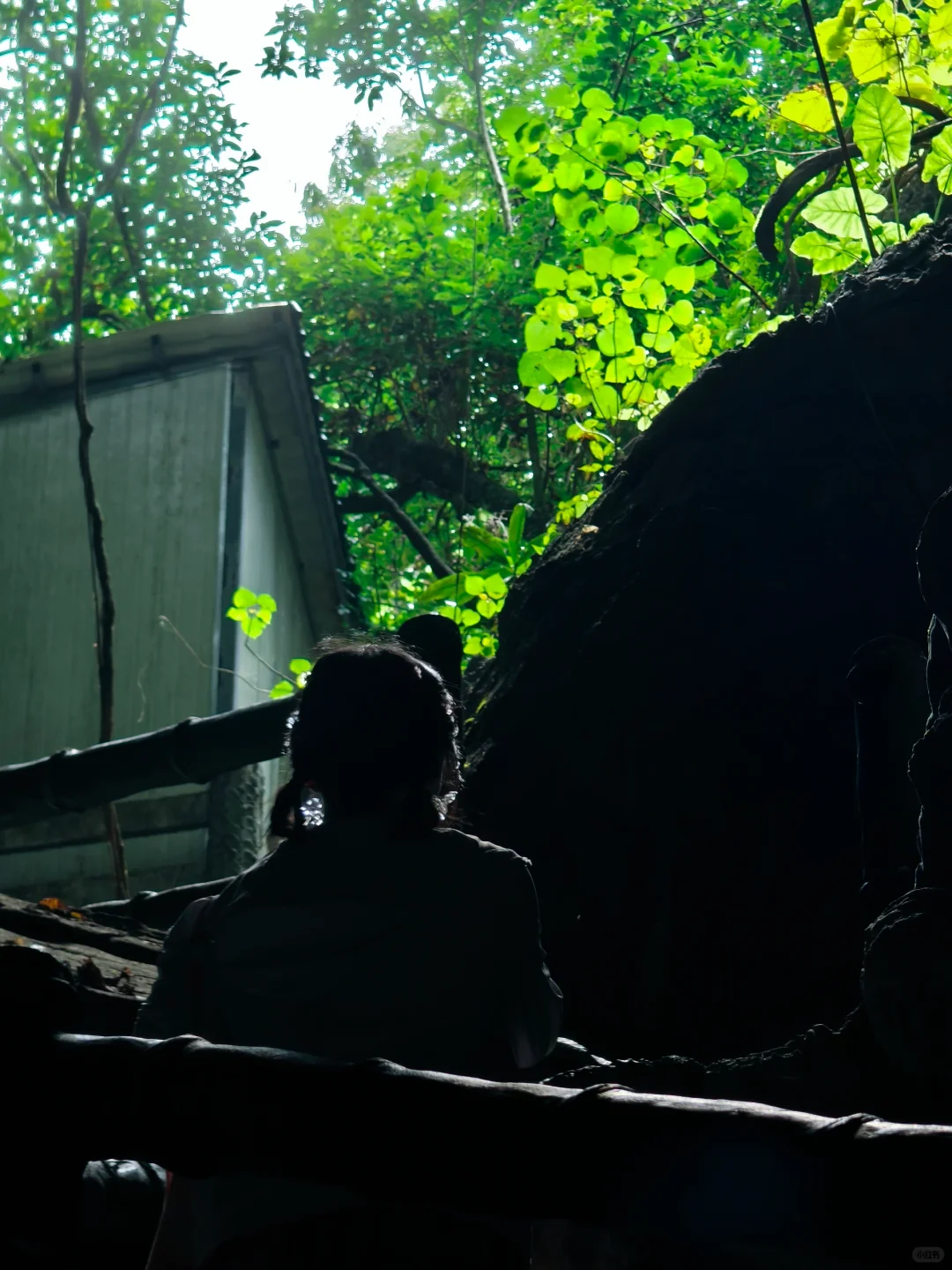 柳州去了 景看了（下）