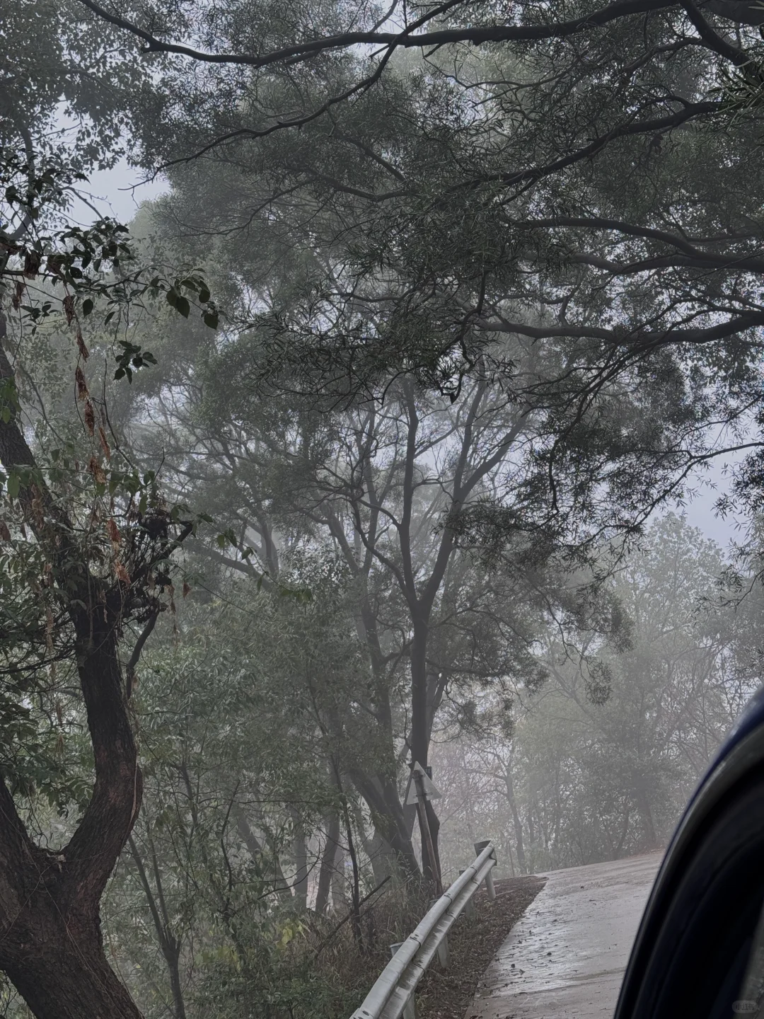 是不是都刷到柳州的这个庄园了 替你们来了