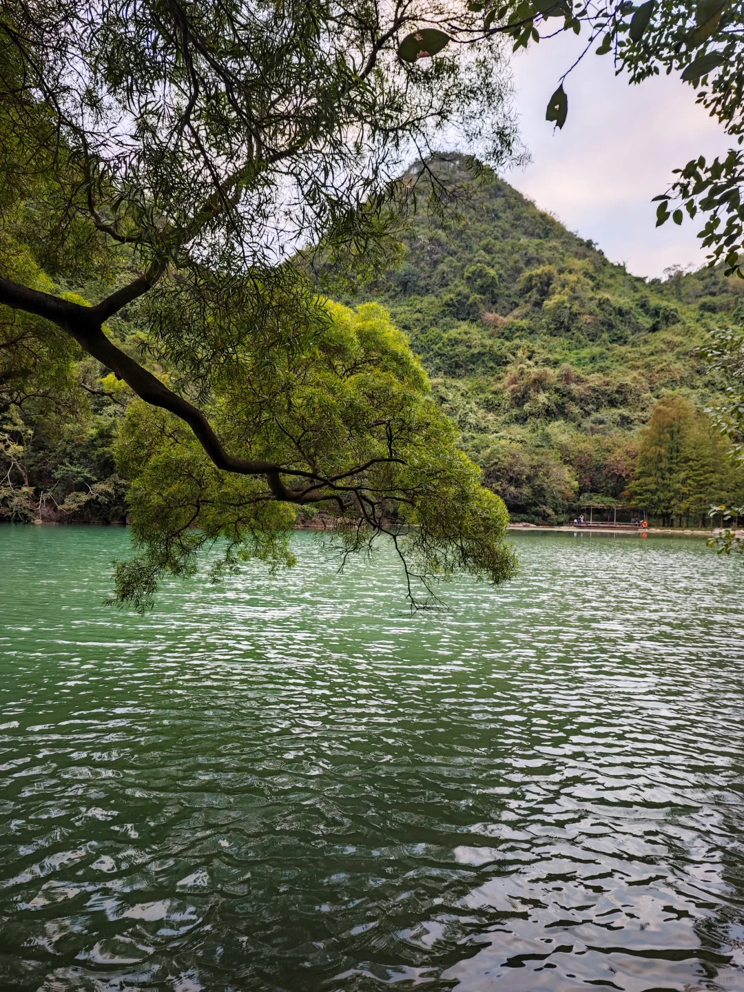 📍柳州市区citywalk｜电动车🛵逛吃路线