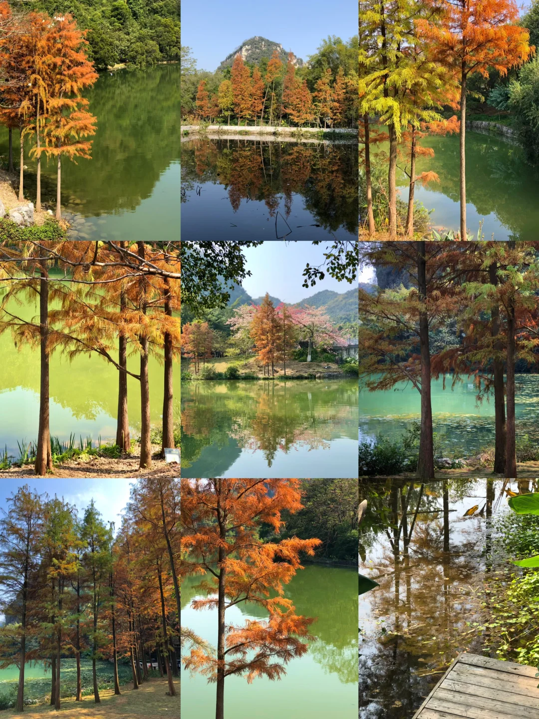 柳州｜龙潭你又美了