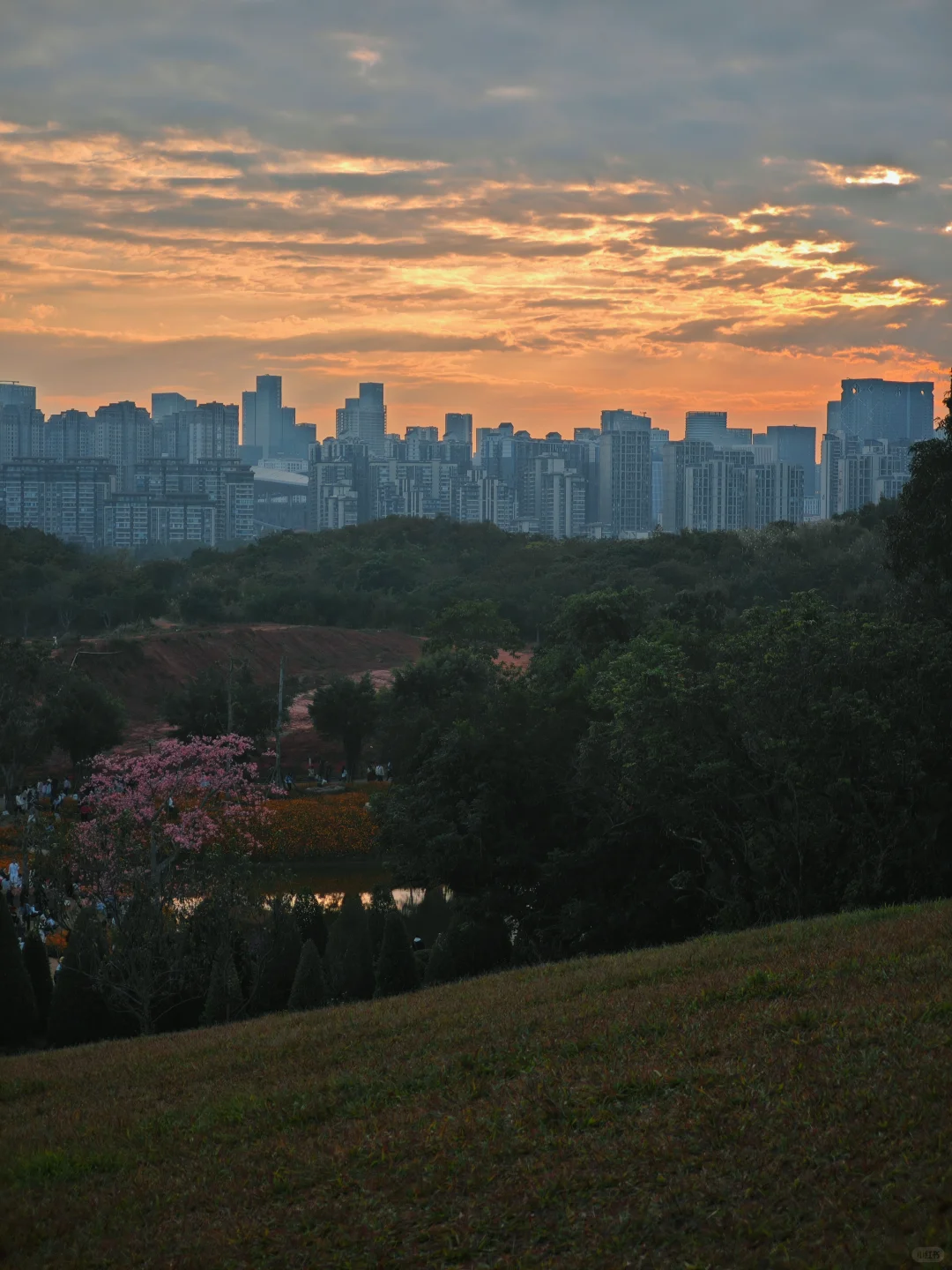 感觉一半的南宁人都去了青秀山