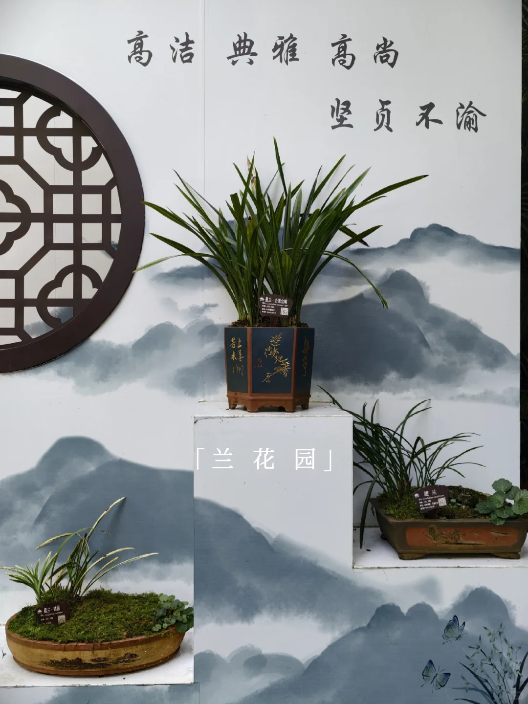 青秀山 | 南宁旅游第一站，详细游玩攻略