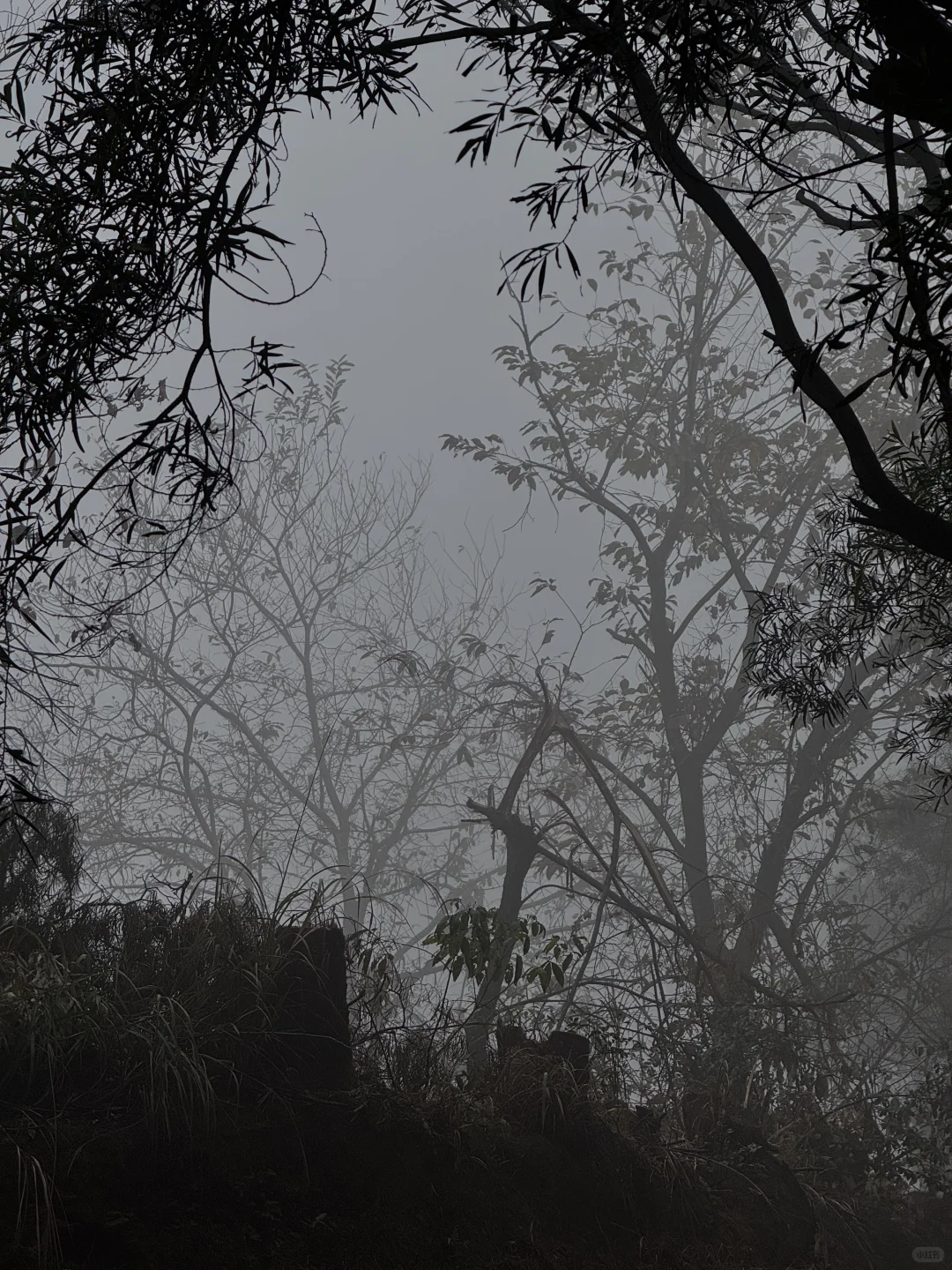 是不是都刷到柳州的这个庄园了 替你们来了
