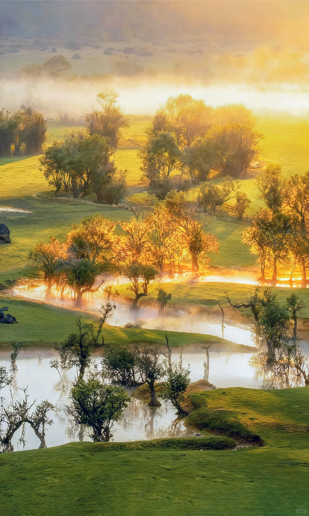 为了这1️⃣2️⃣张图，我特意飞了次广西❗️