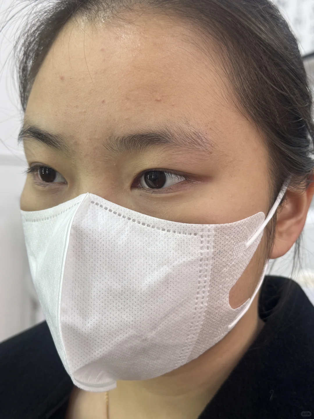 柳州融水野生眉 | 原相机实况图