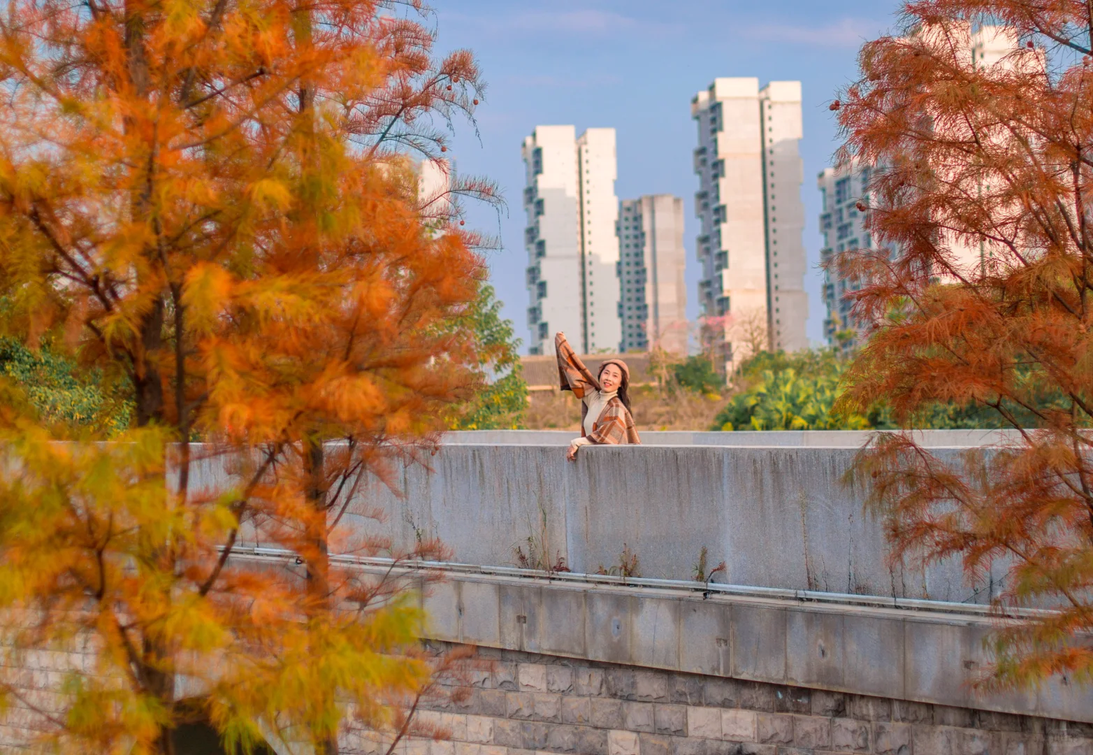 爆款机位被我“包场”了｜柳州水杉秘境