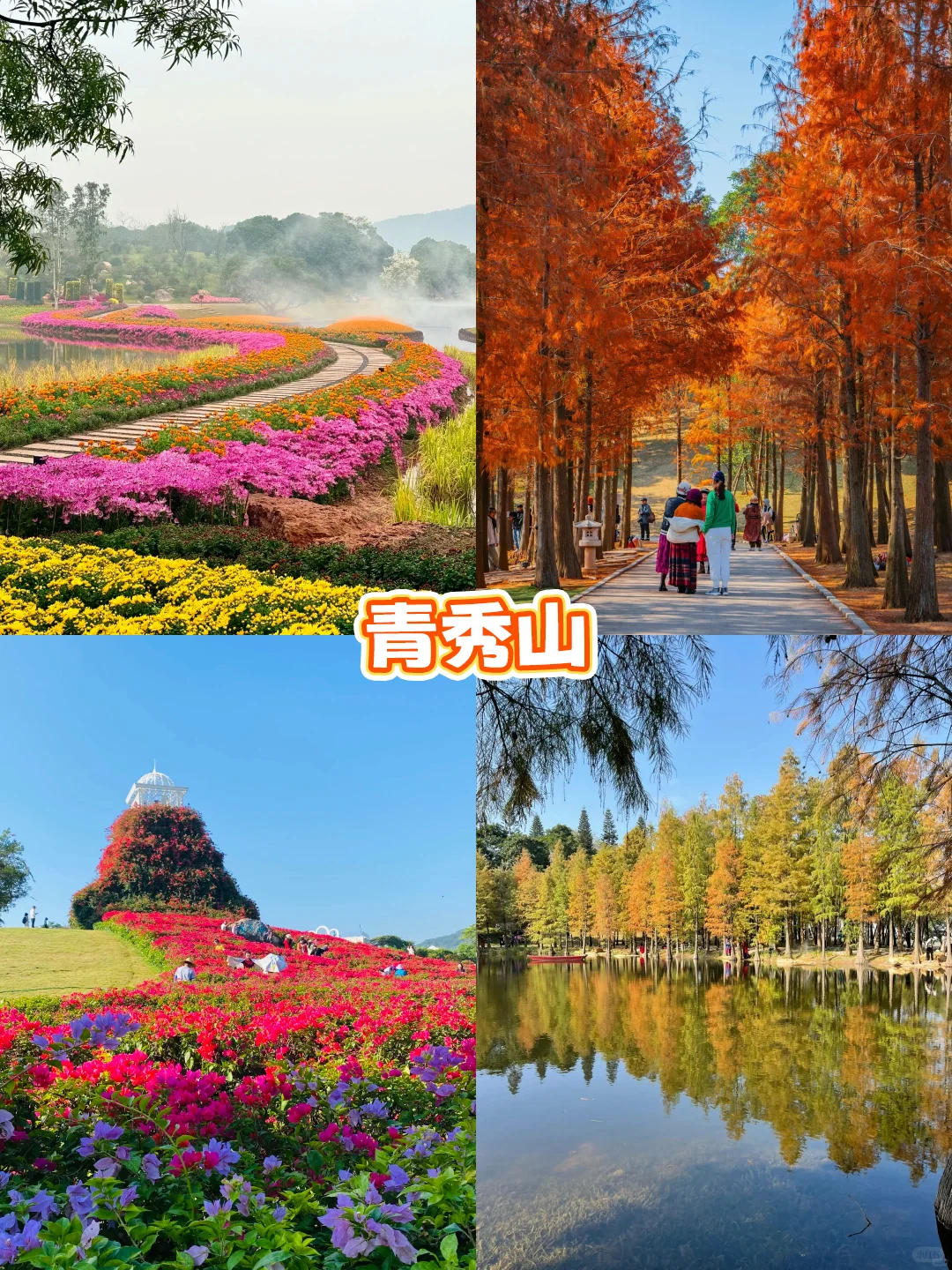 南国冬日不猫冬！打卡南宁8个神仙地～