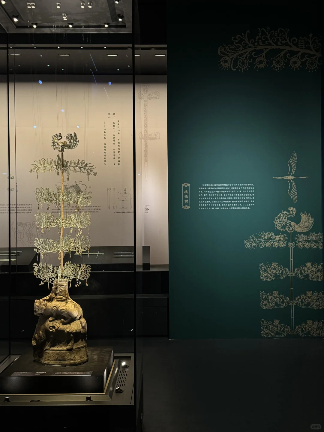 近期南宁最值得打卡的展览📷